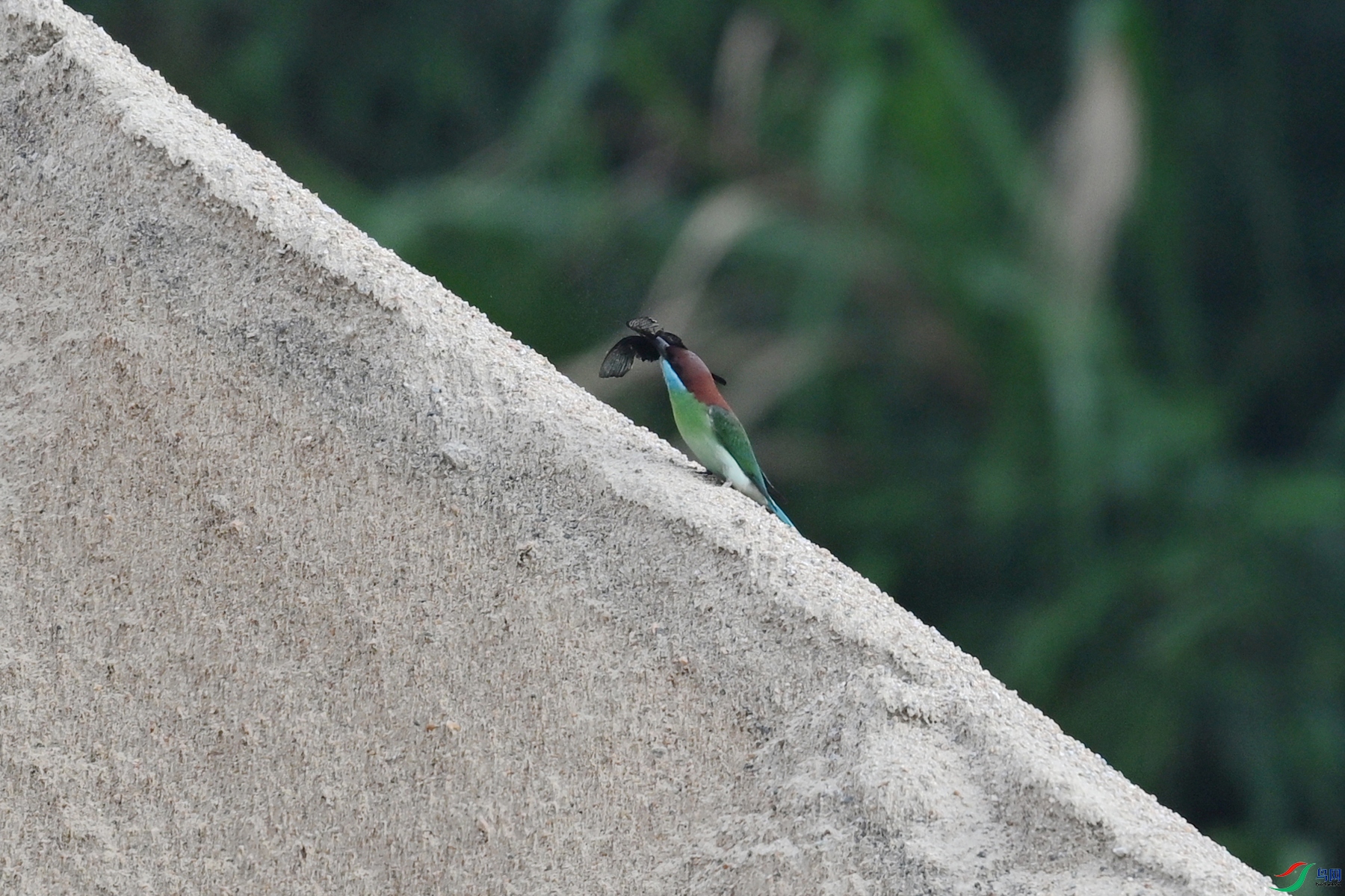 DSC_0506.JPG