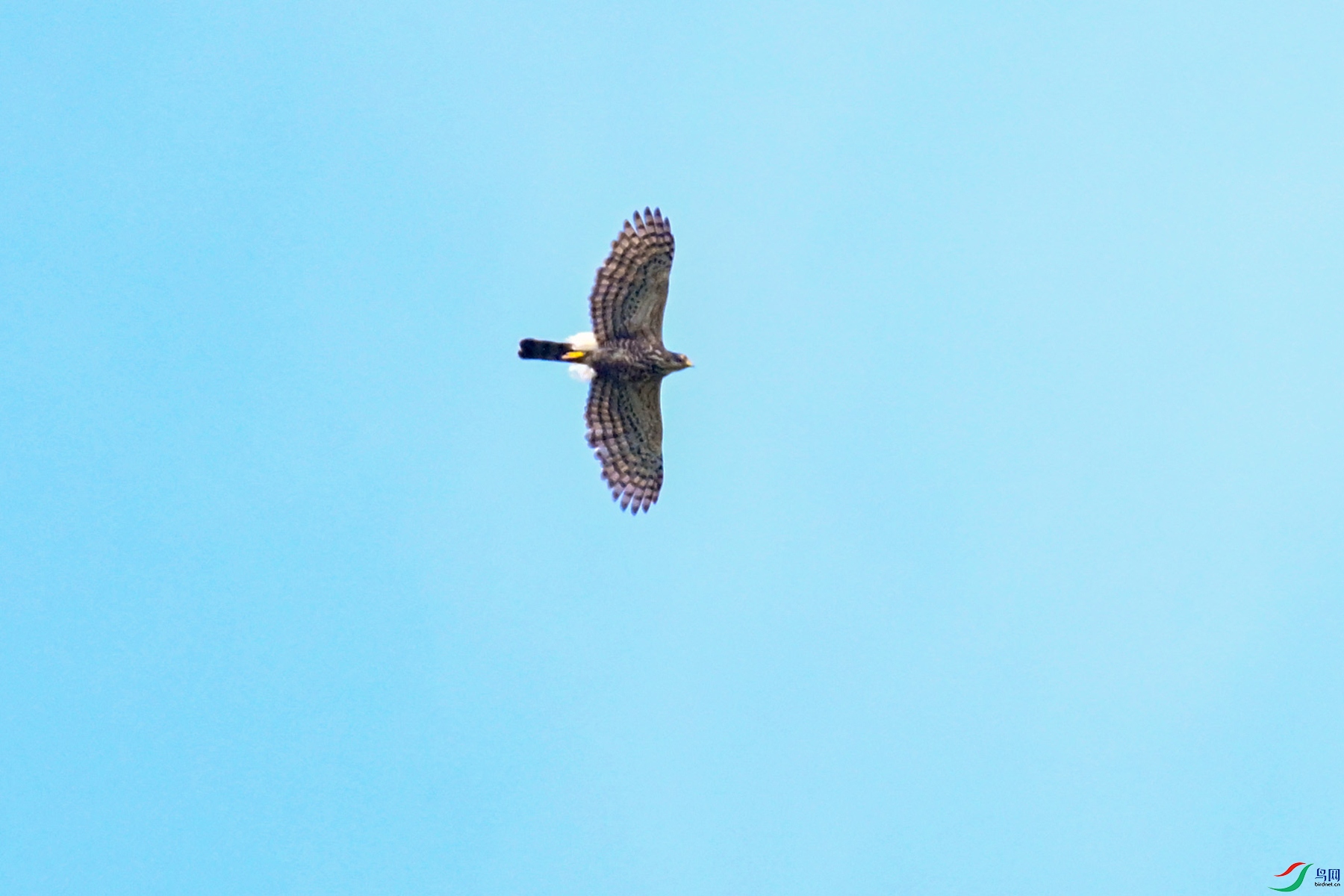 DSC_0540.JPG