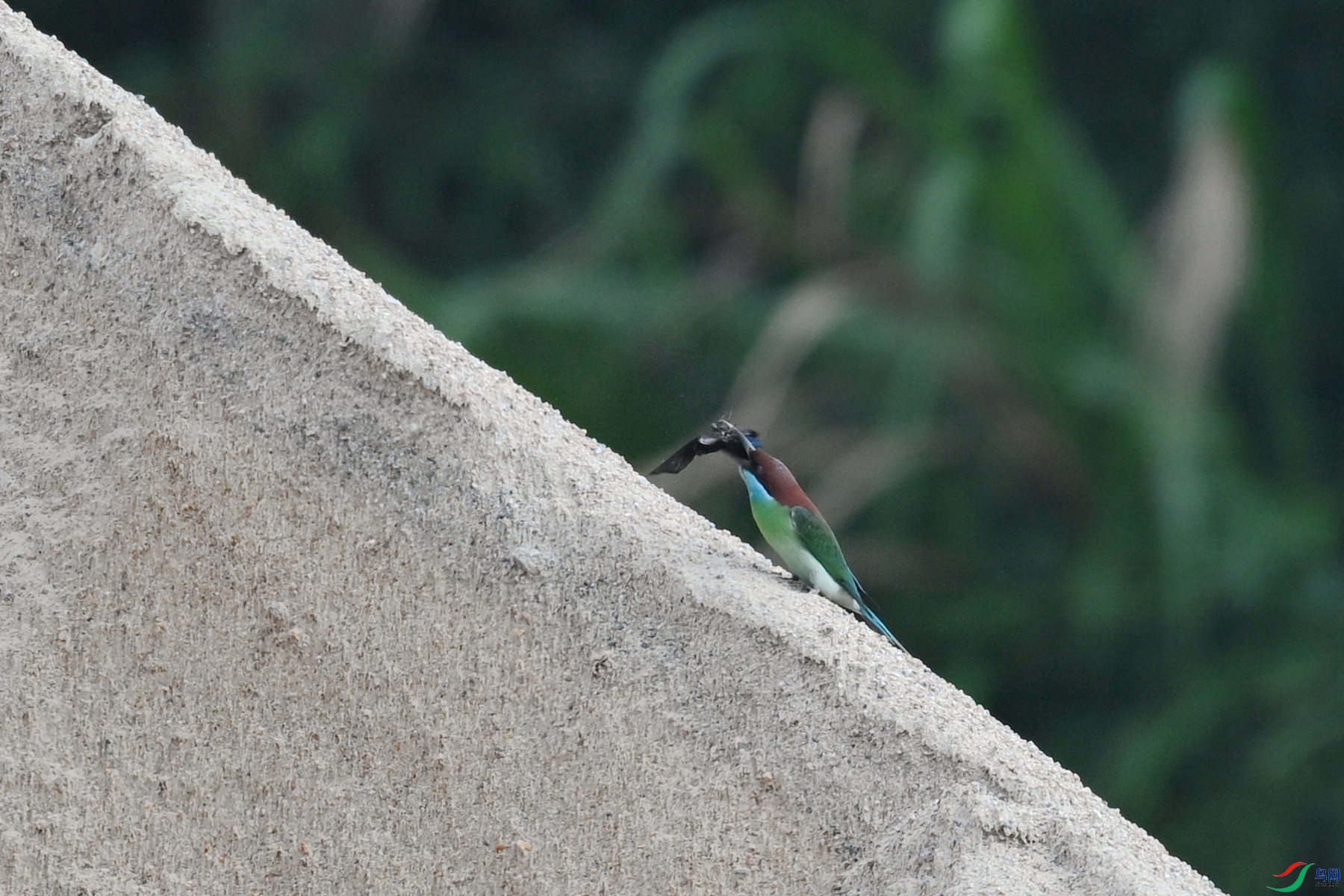 DSC_0507.JPG
