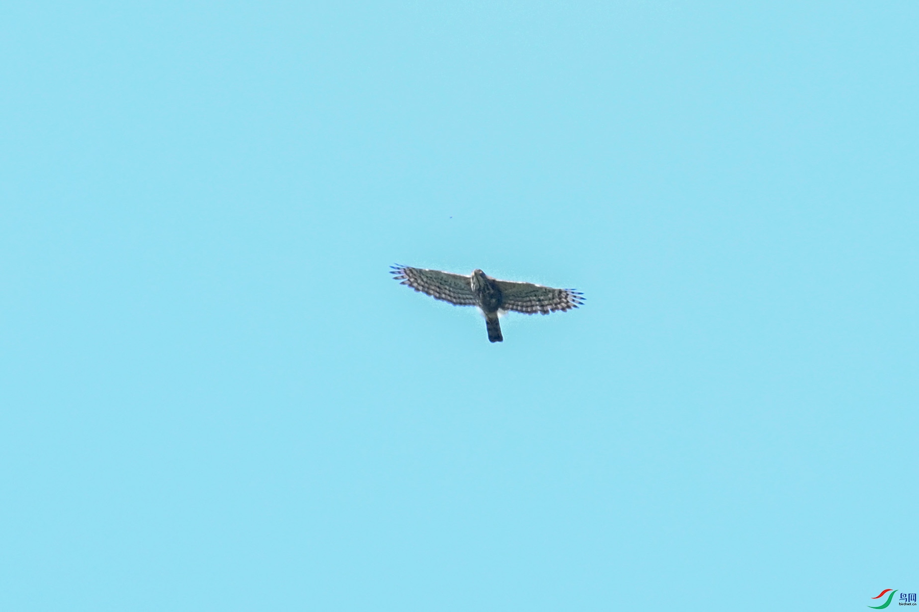 DSC_0531.JPG
