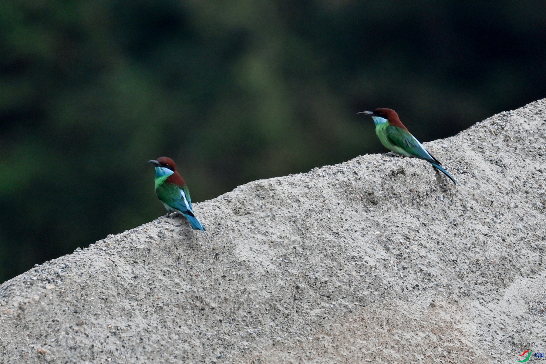 DSC_0508.JPG