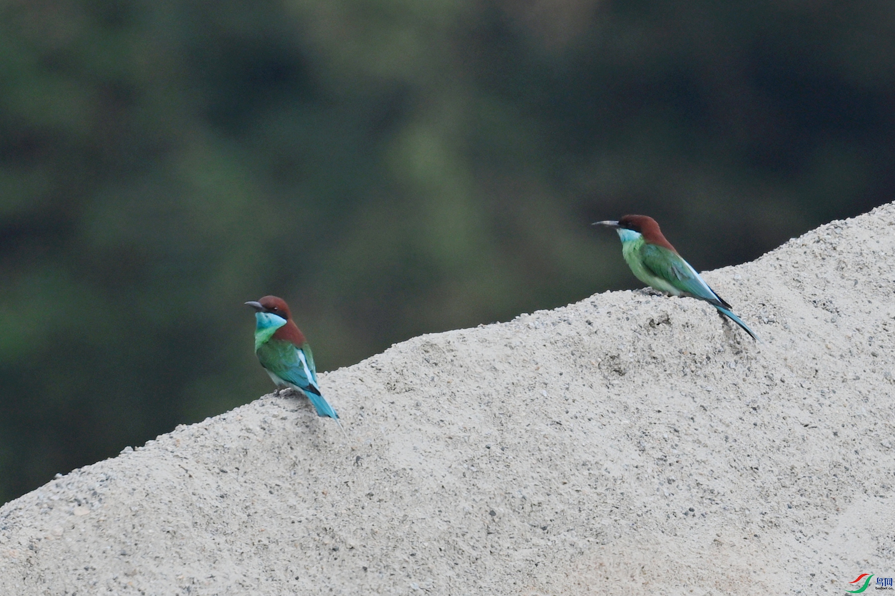 DSC_0509.JPG
