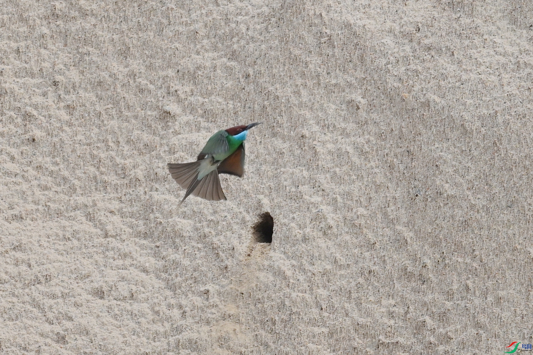 DSC_0512.JPG