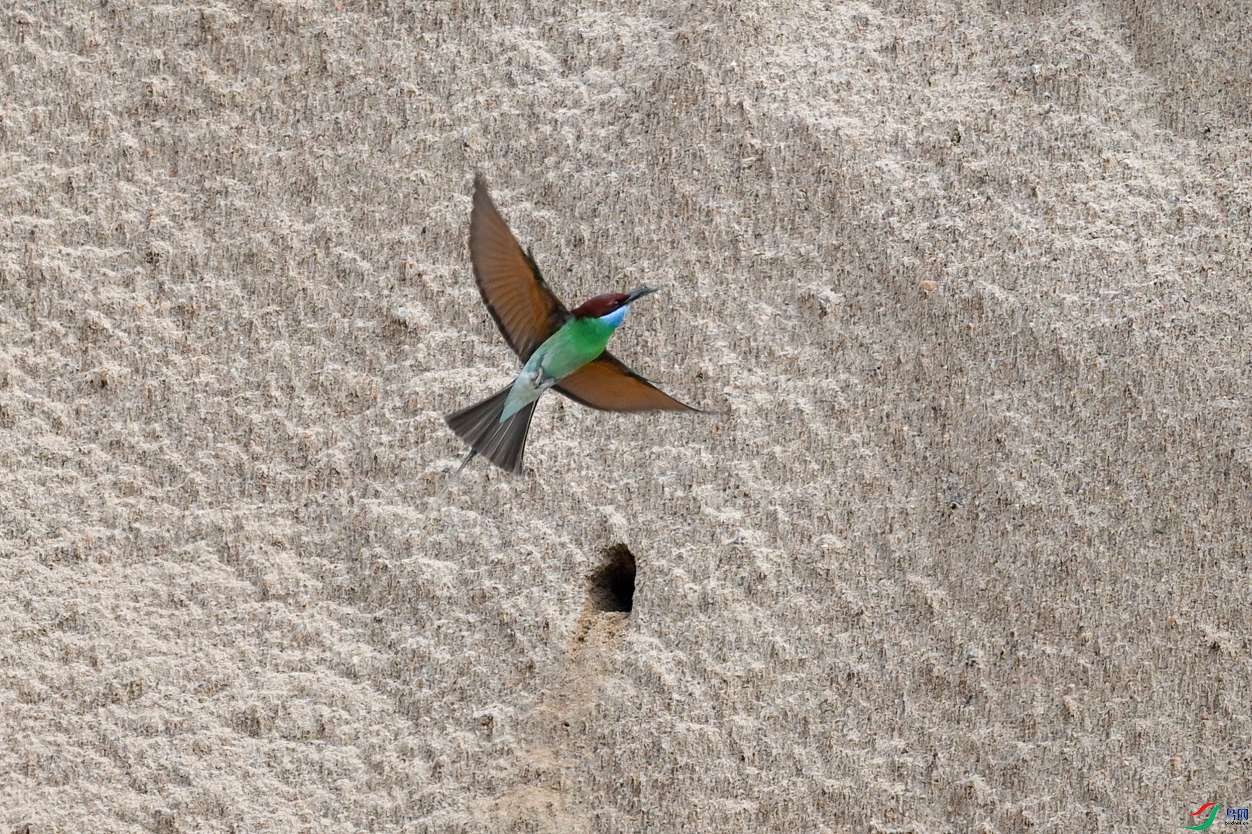 DSC_0513.JPG