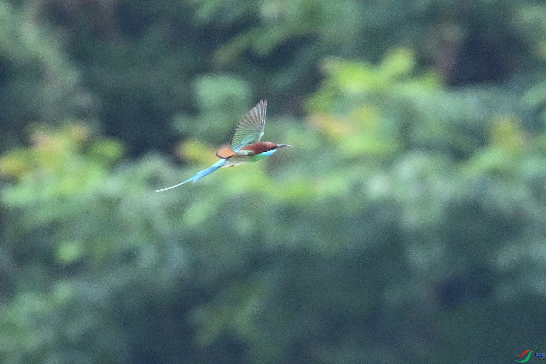 DSC_0517.JPG