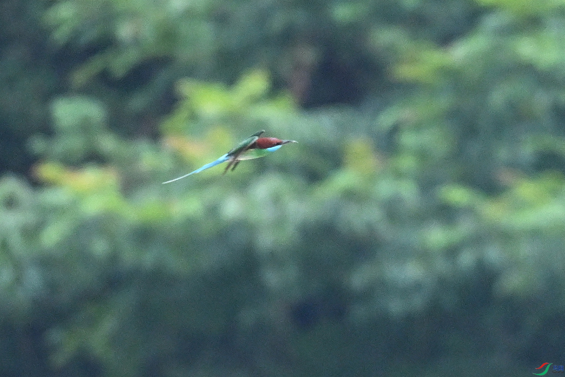 DSC_0518.JPG