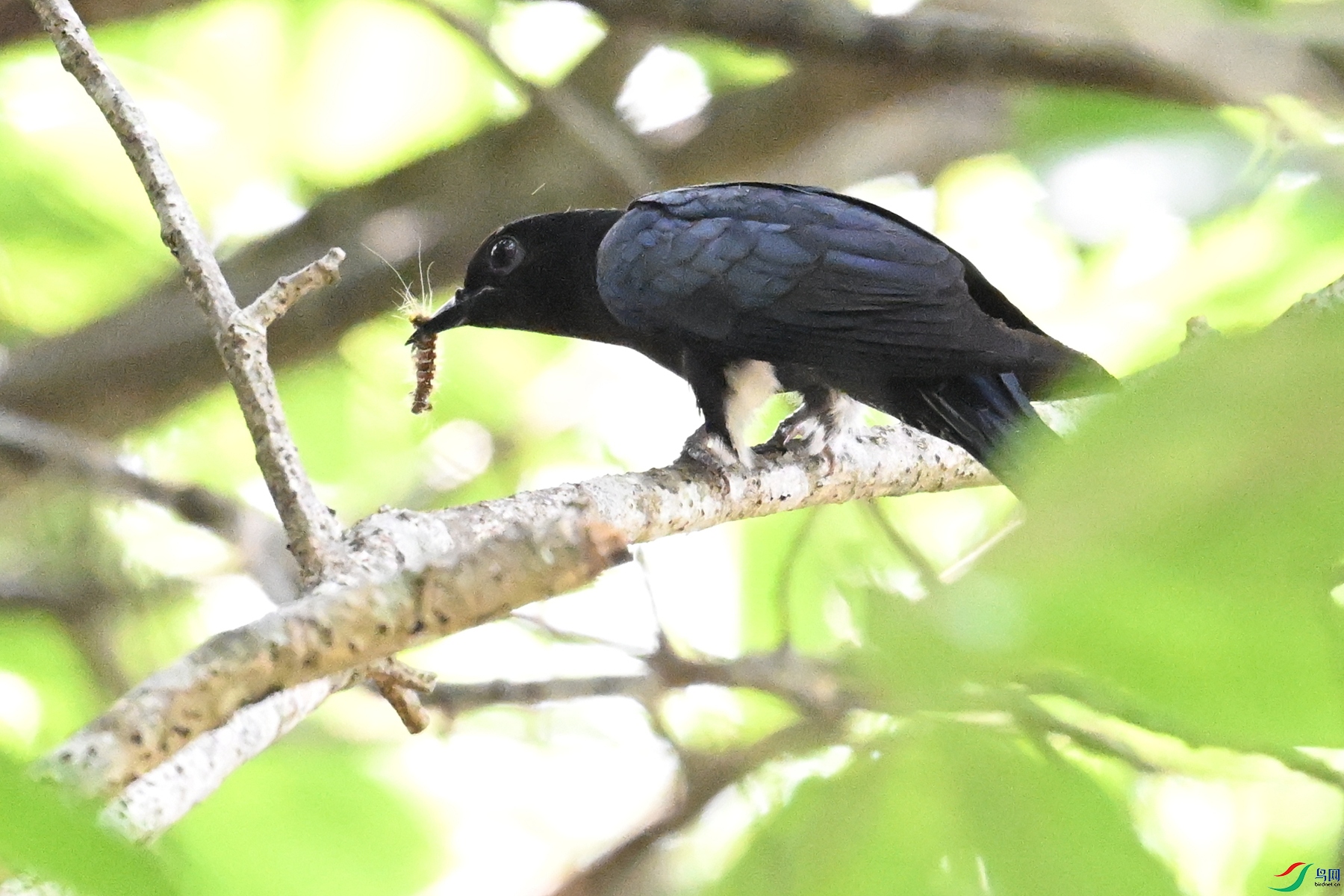 DSC_0566.JPG
