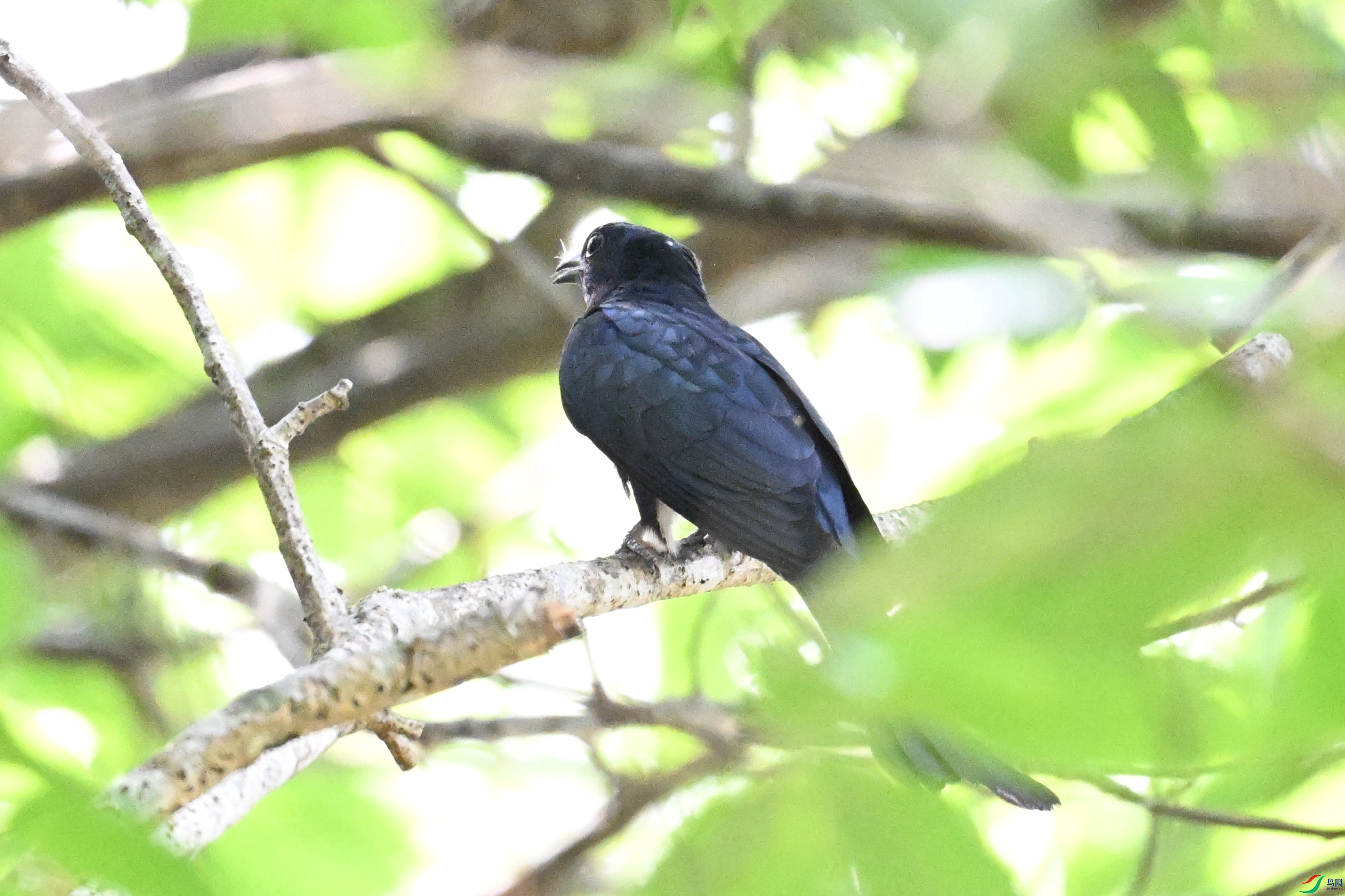 DSC_0570.JPG