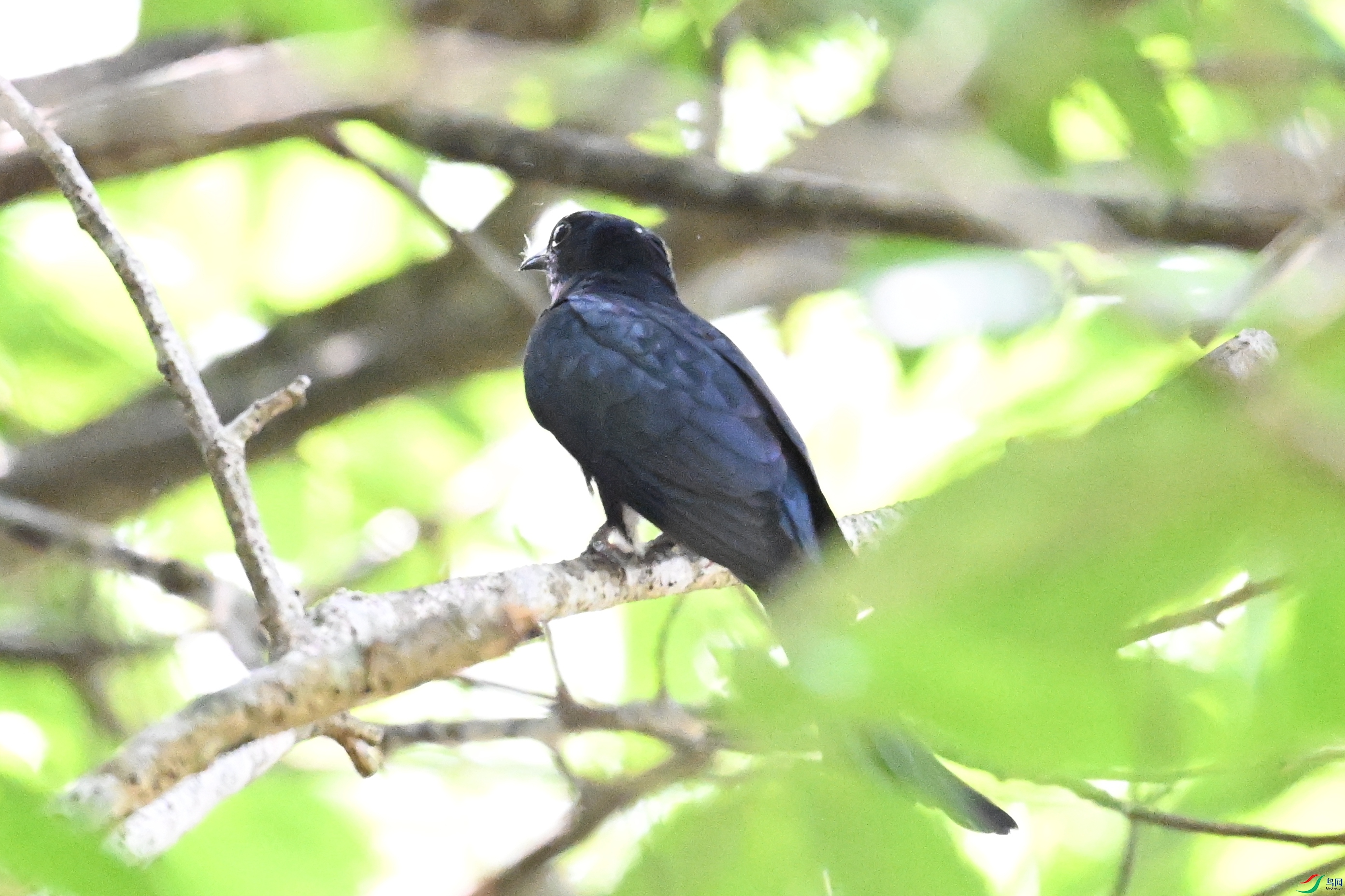 DSC_0571.JPG