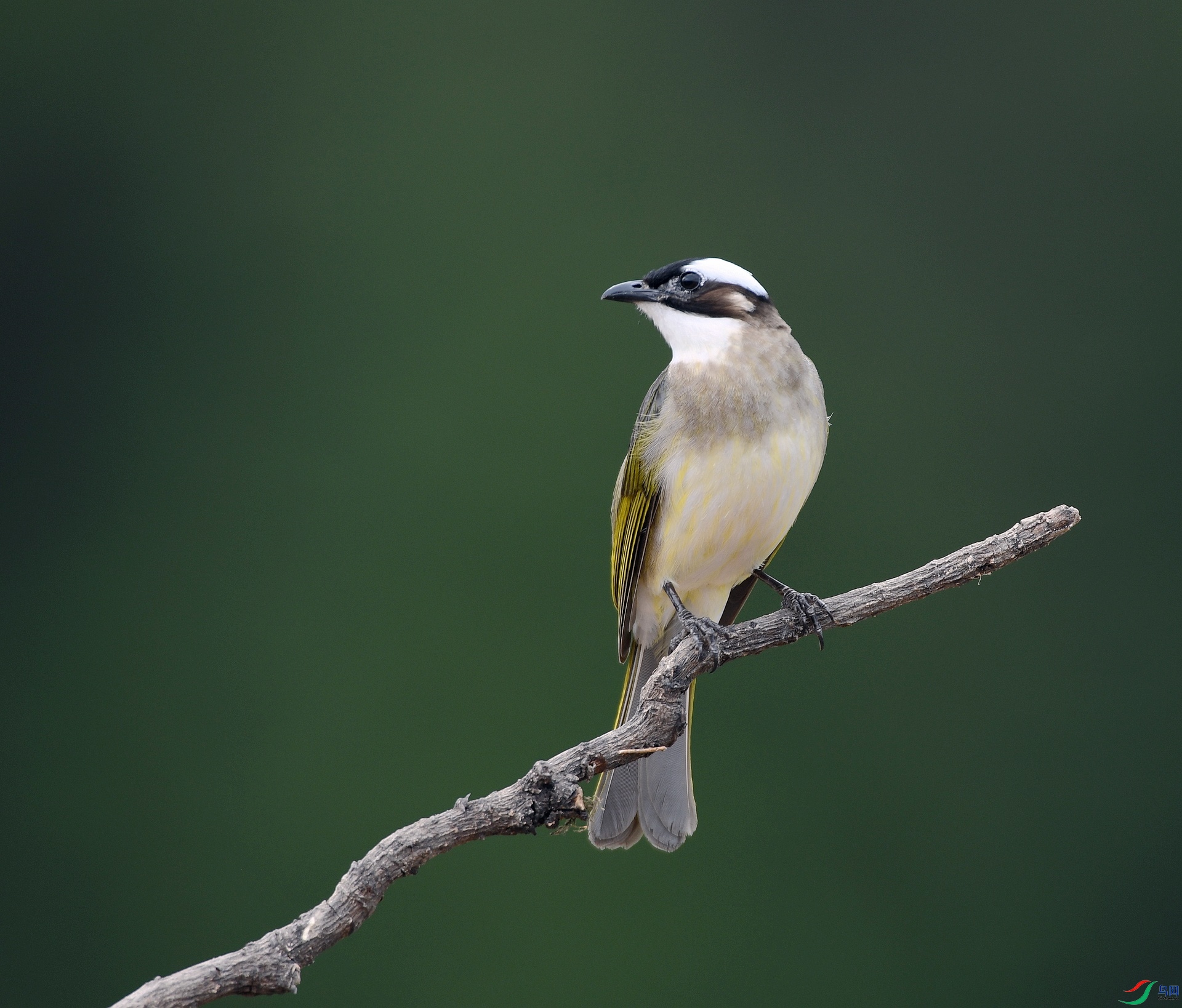DSC_5754.jpg