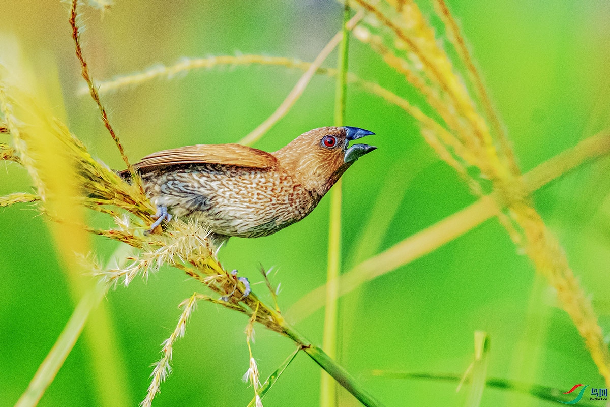 DSC_6496.jpg