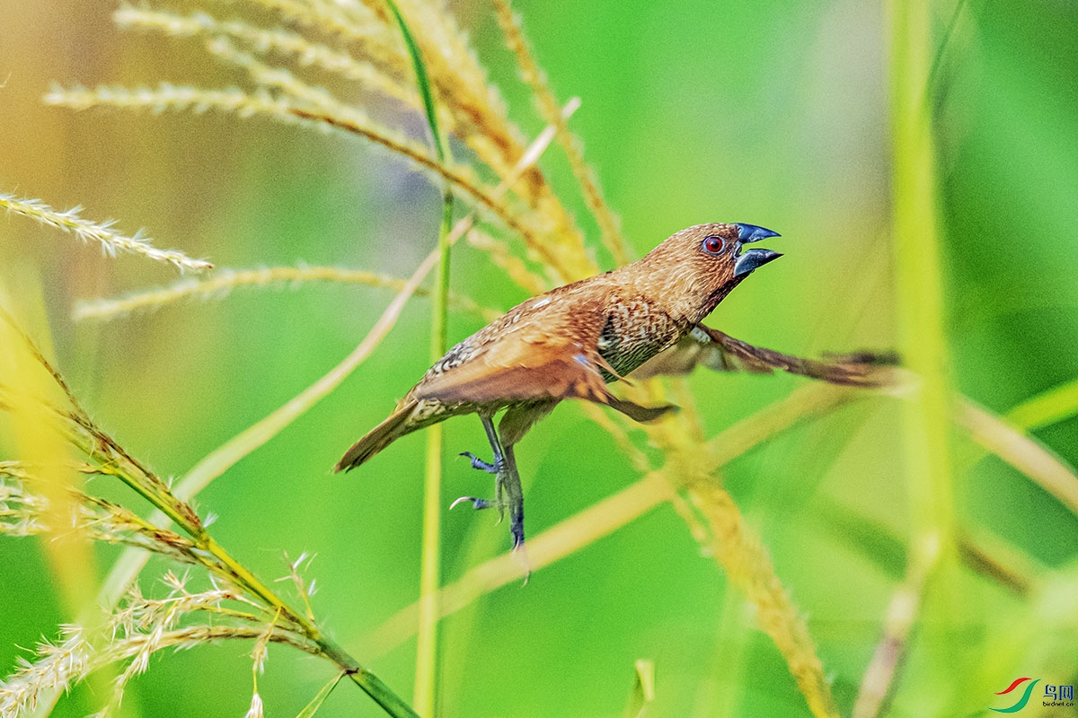 DSC_6497.jpg