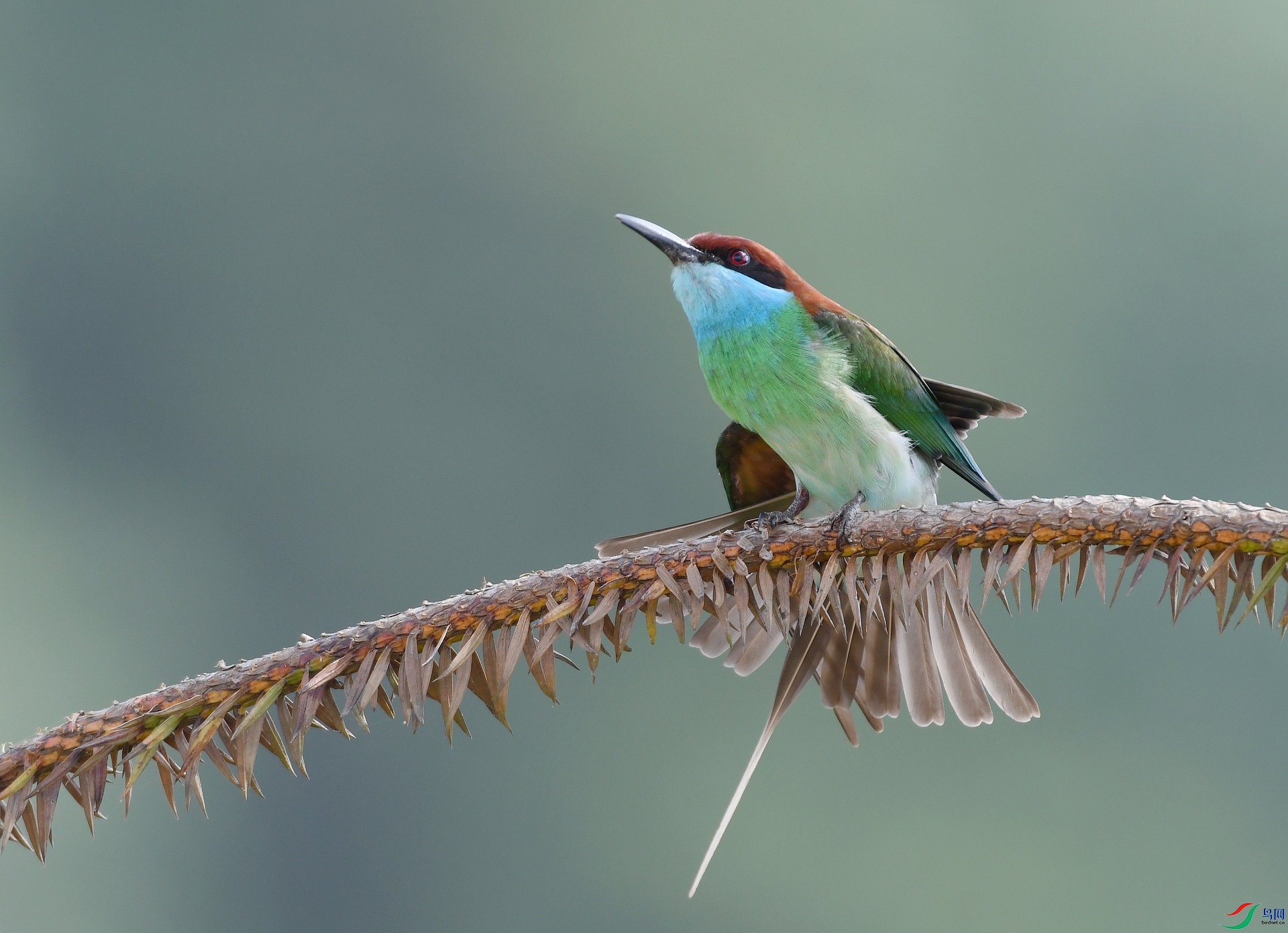 DSC_3641.jpg