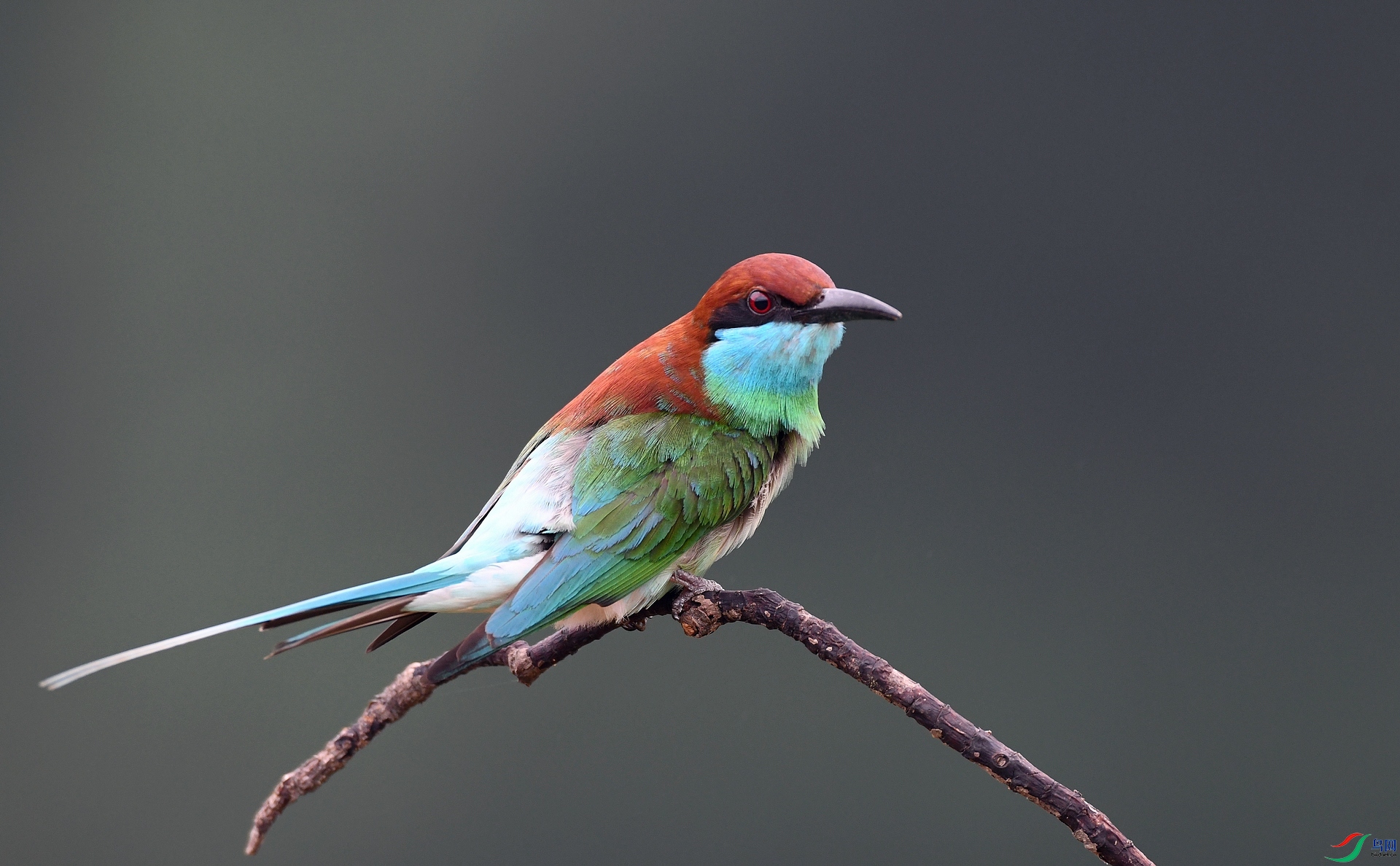 DSC_6371.jpg