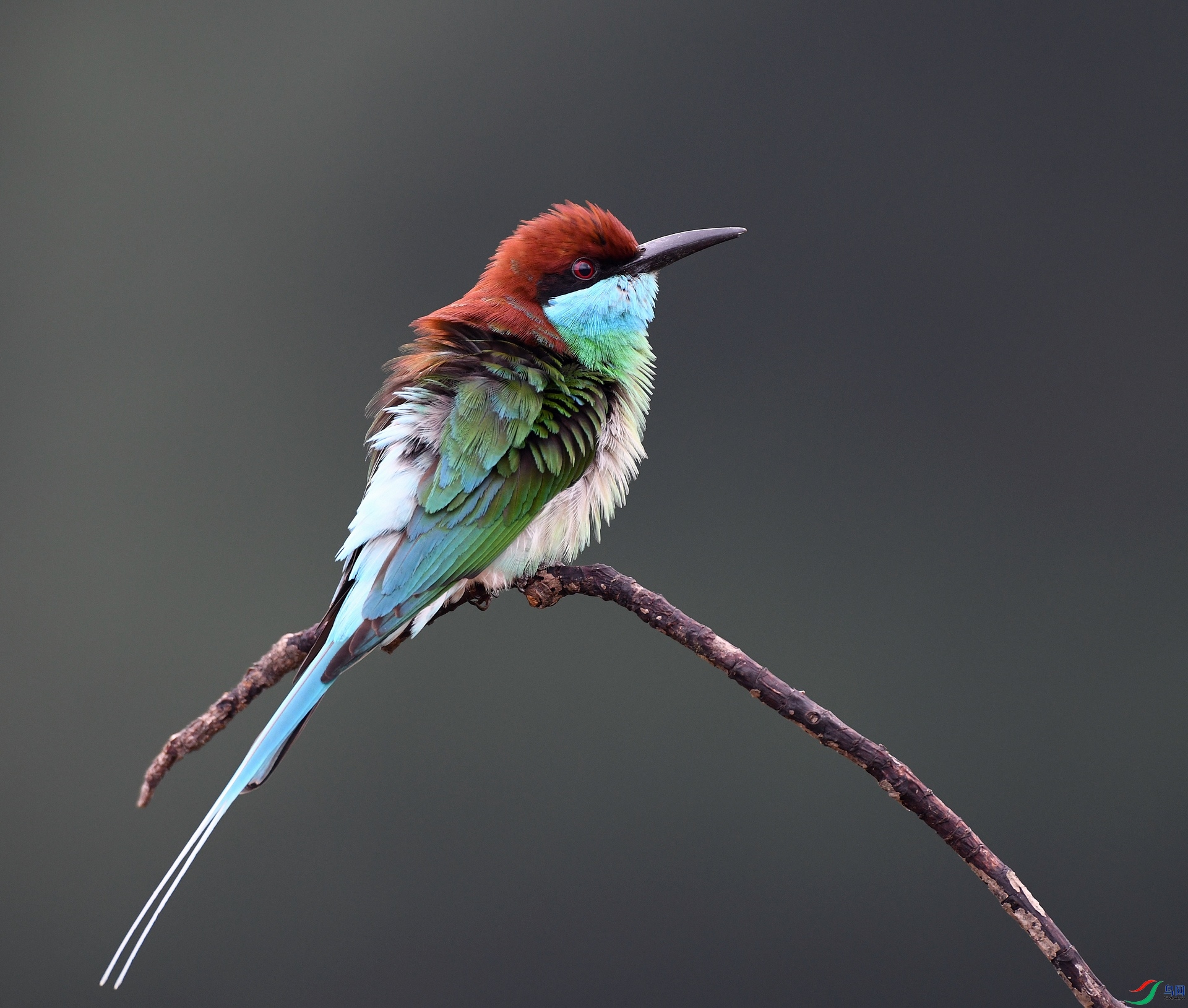 DSC_6380.jpg