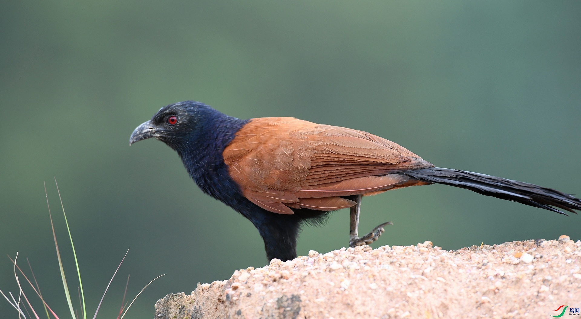 DSC_5744.jpg
