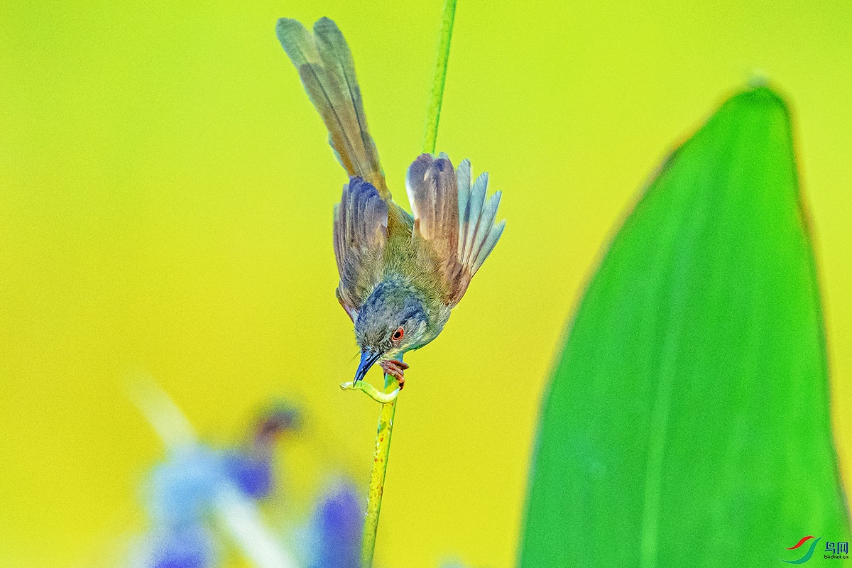 DSC_6091.jpg