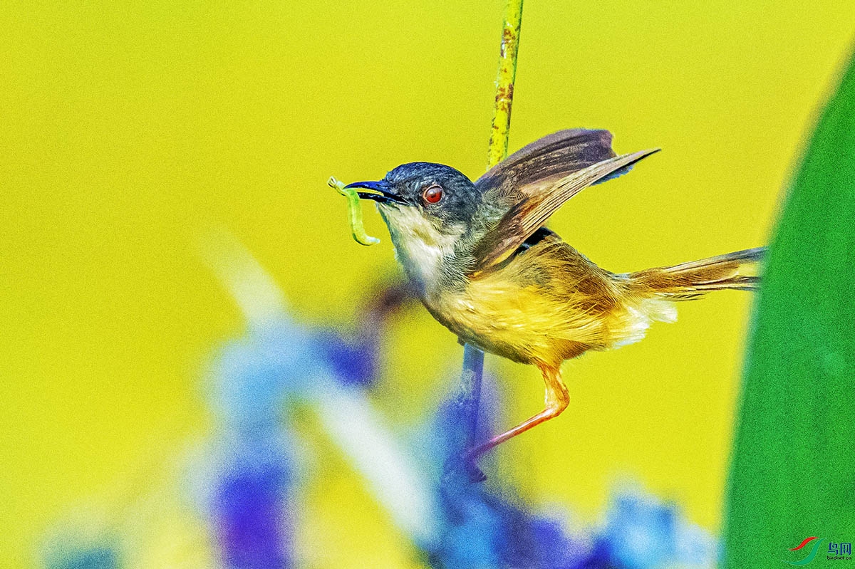 DSC_6093.jpg