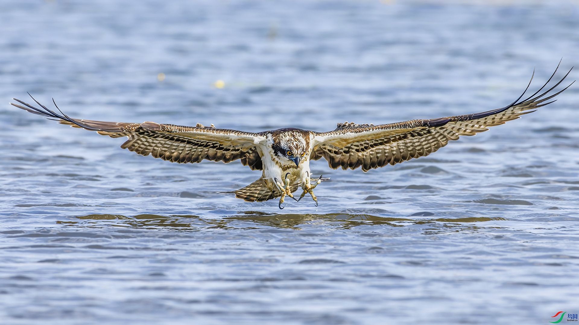_DLI2847(1)-CR3_DxO_DeepPRIME.jpg