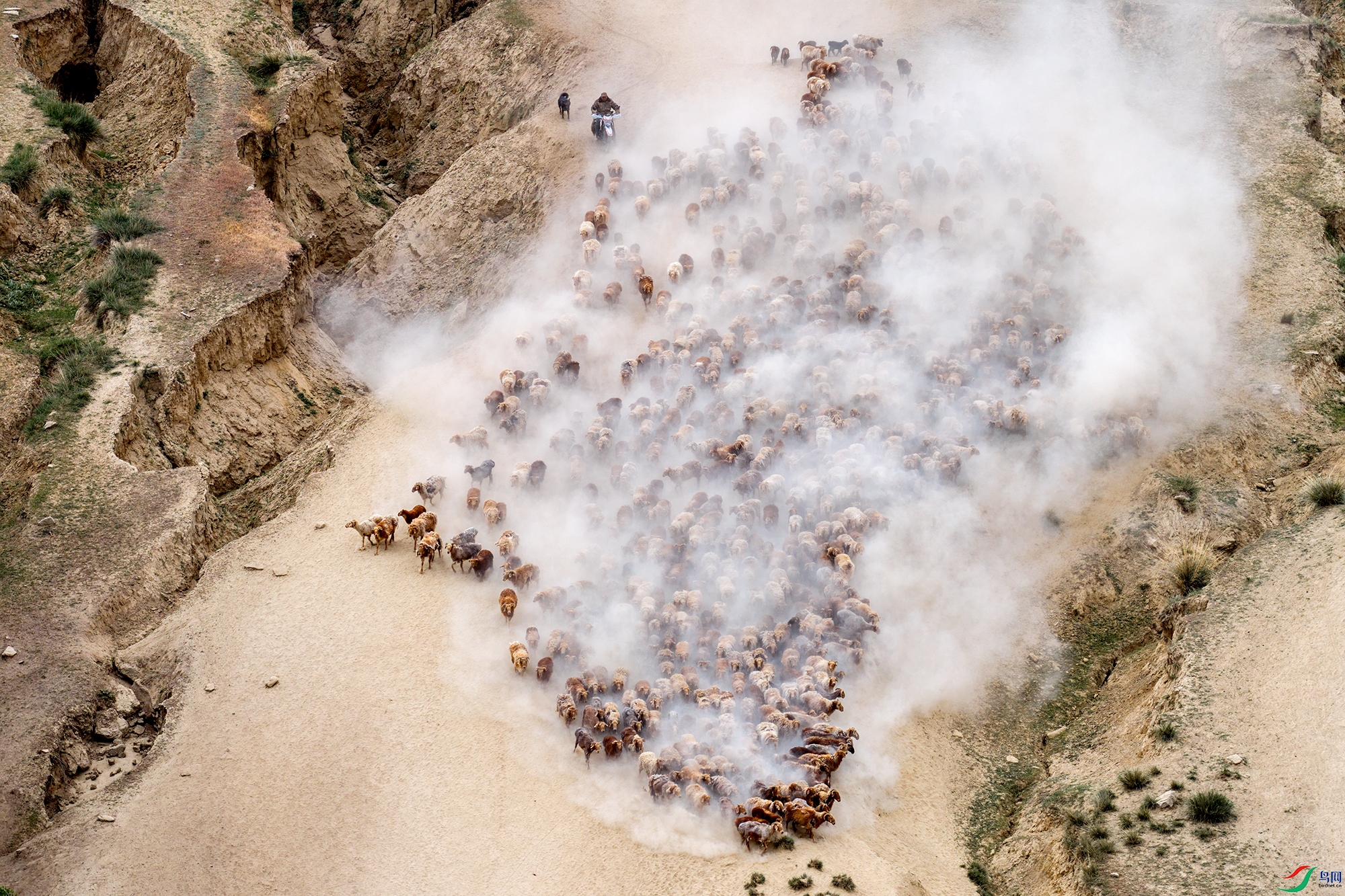 DJI_20260608085746_0431_D-1a.jpg