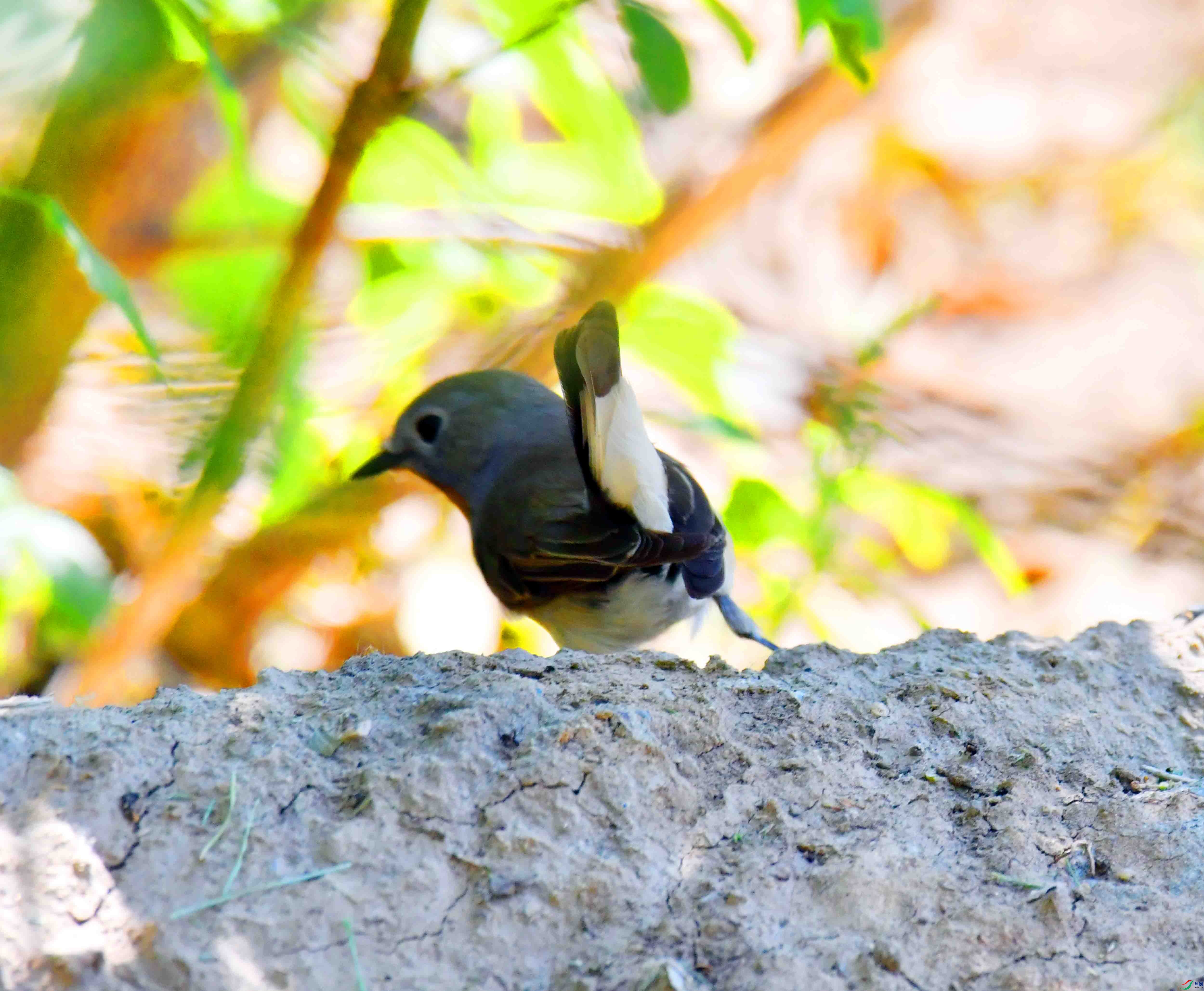 DSC_3349.JPG