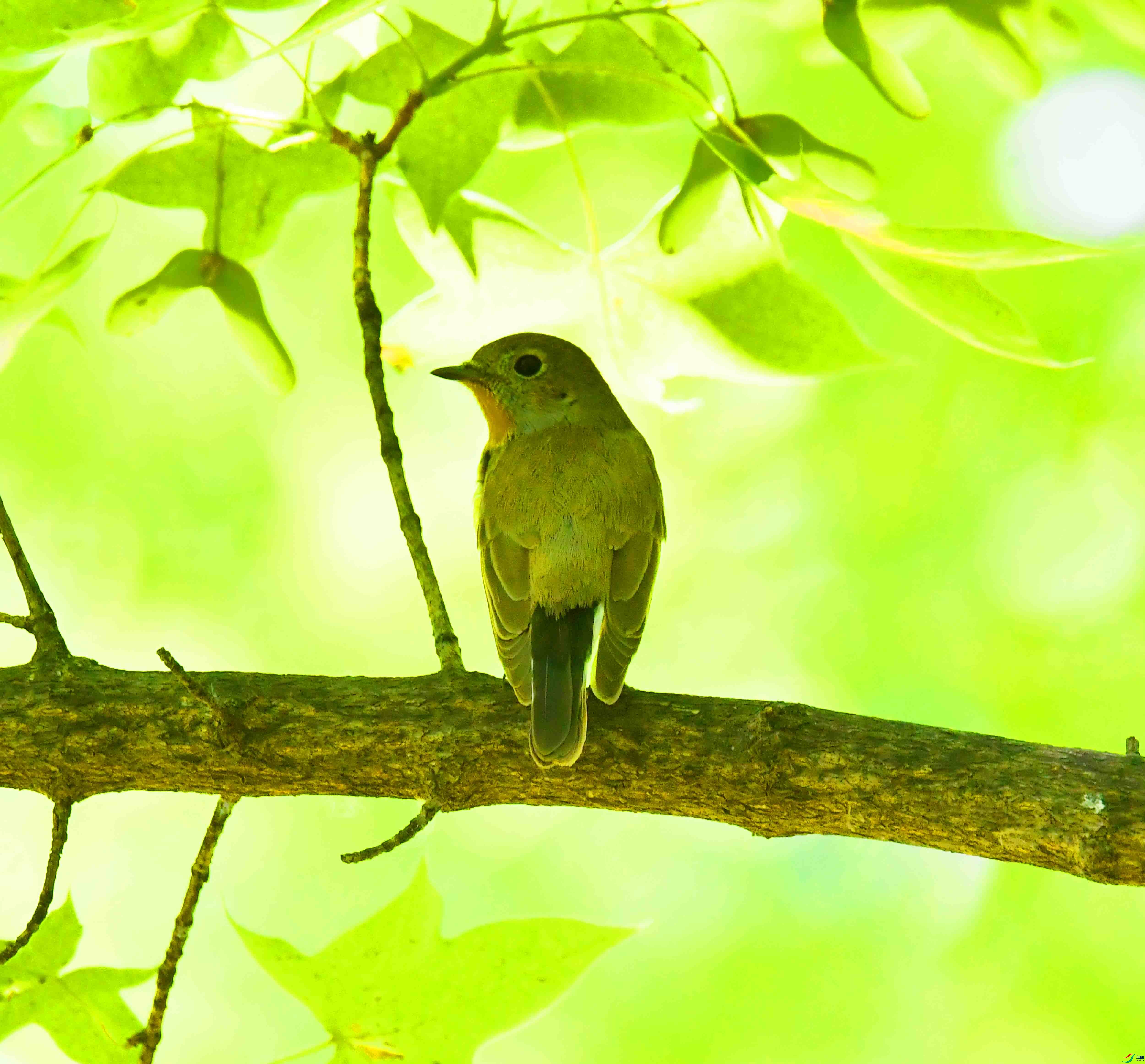 DSC_3427.JPG