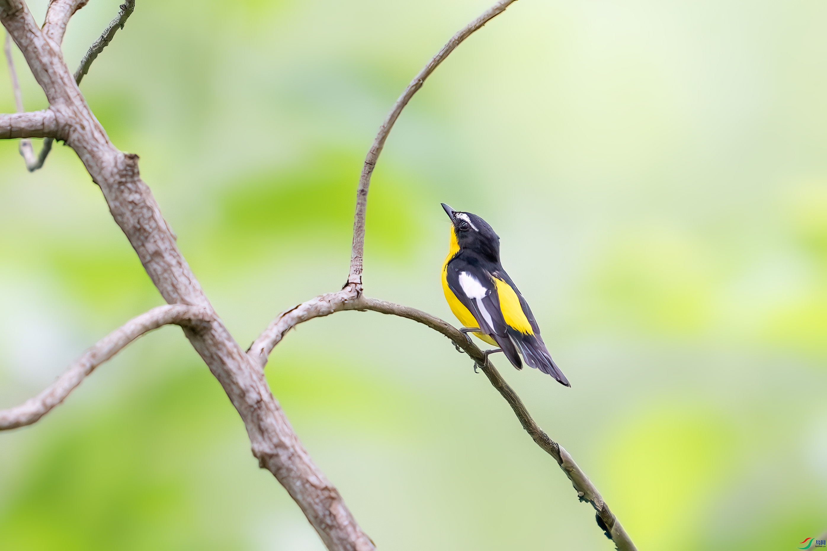 _DSC3560.jpg