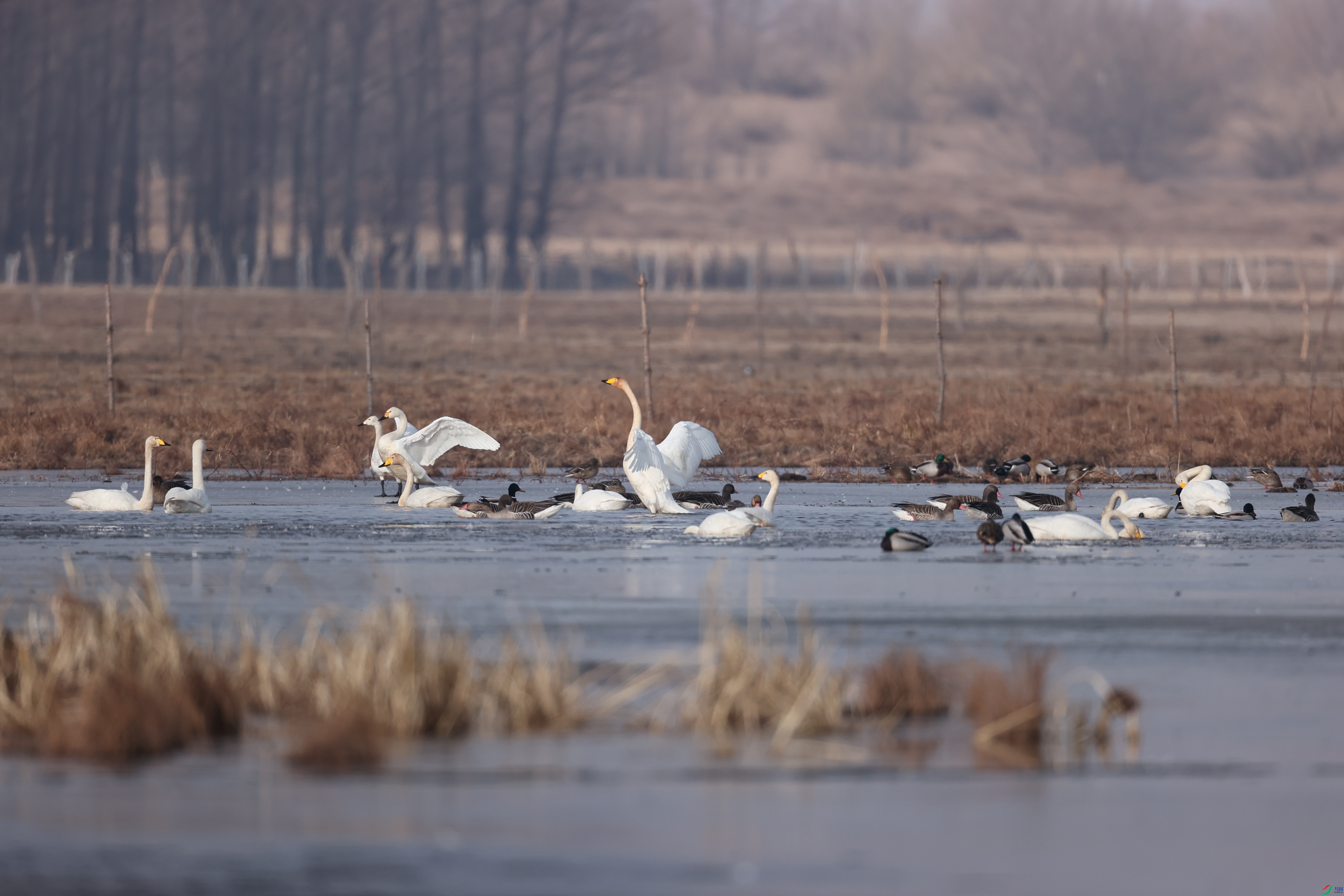 �����22