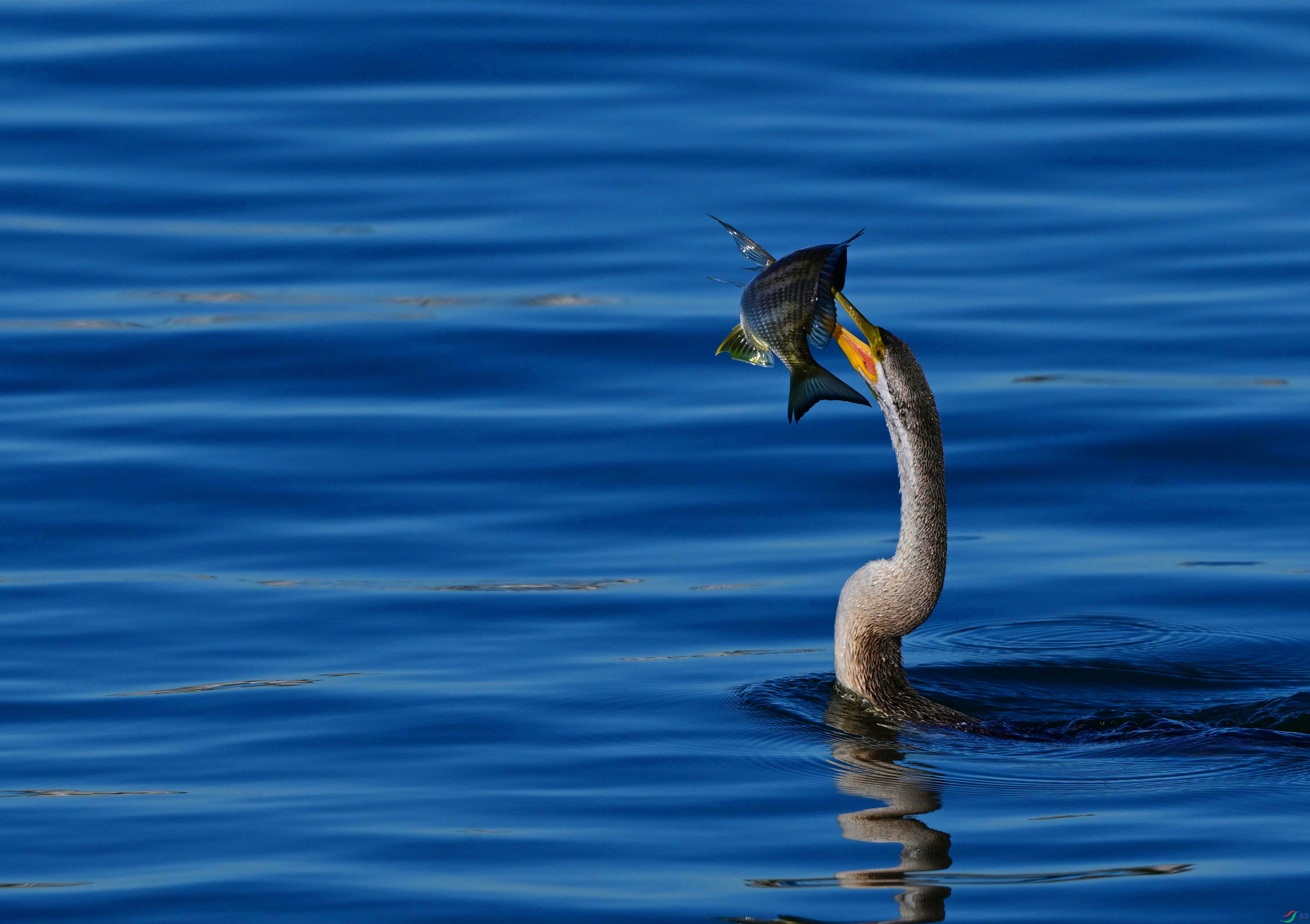 DSC_5059_��ͼ��_����.jpg