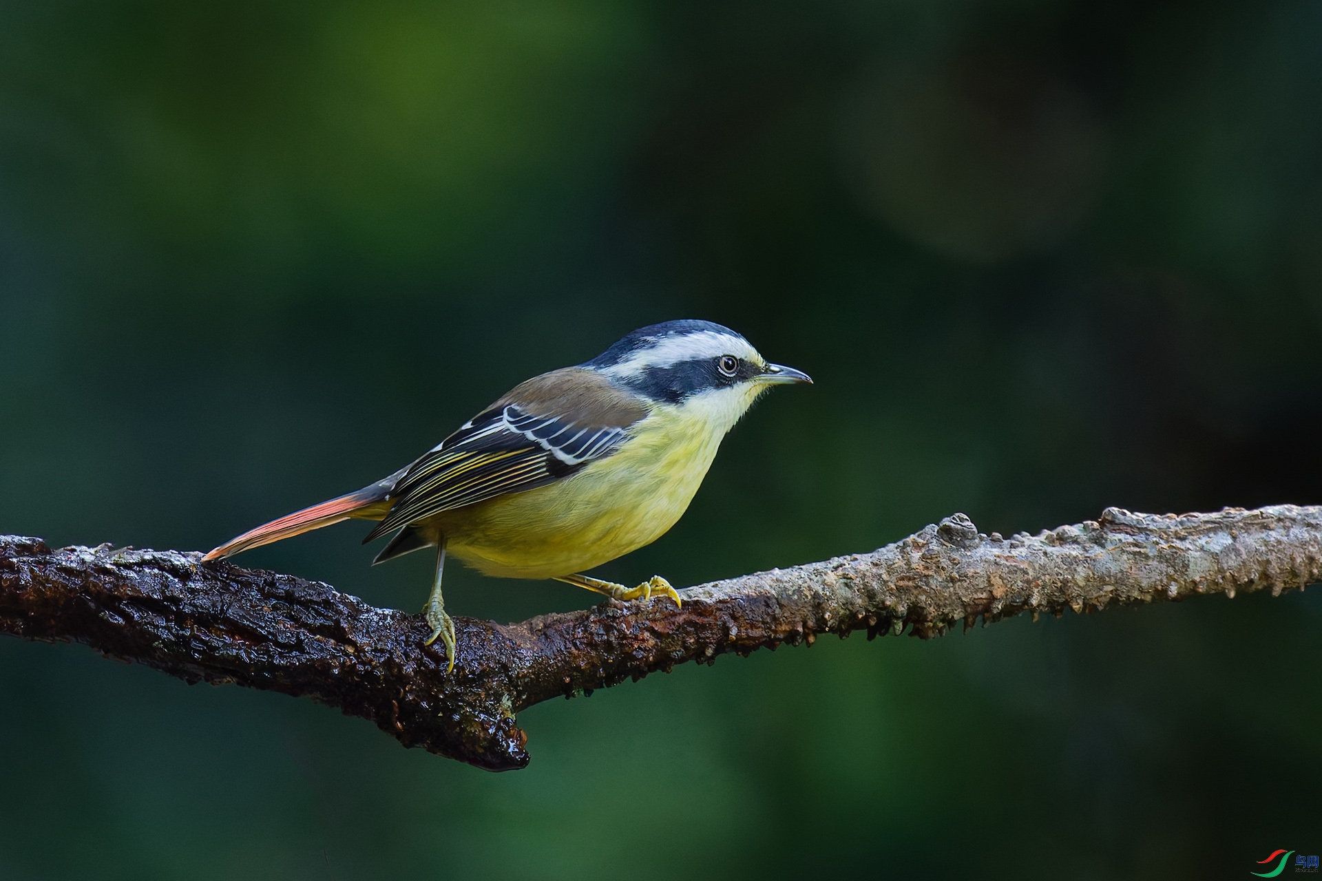 DSC_7436_DxO_DxOa.jpg