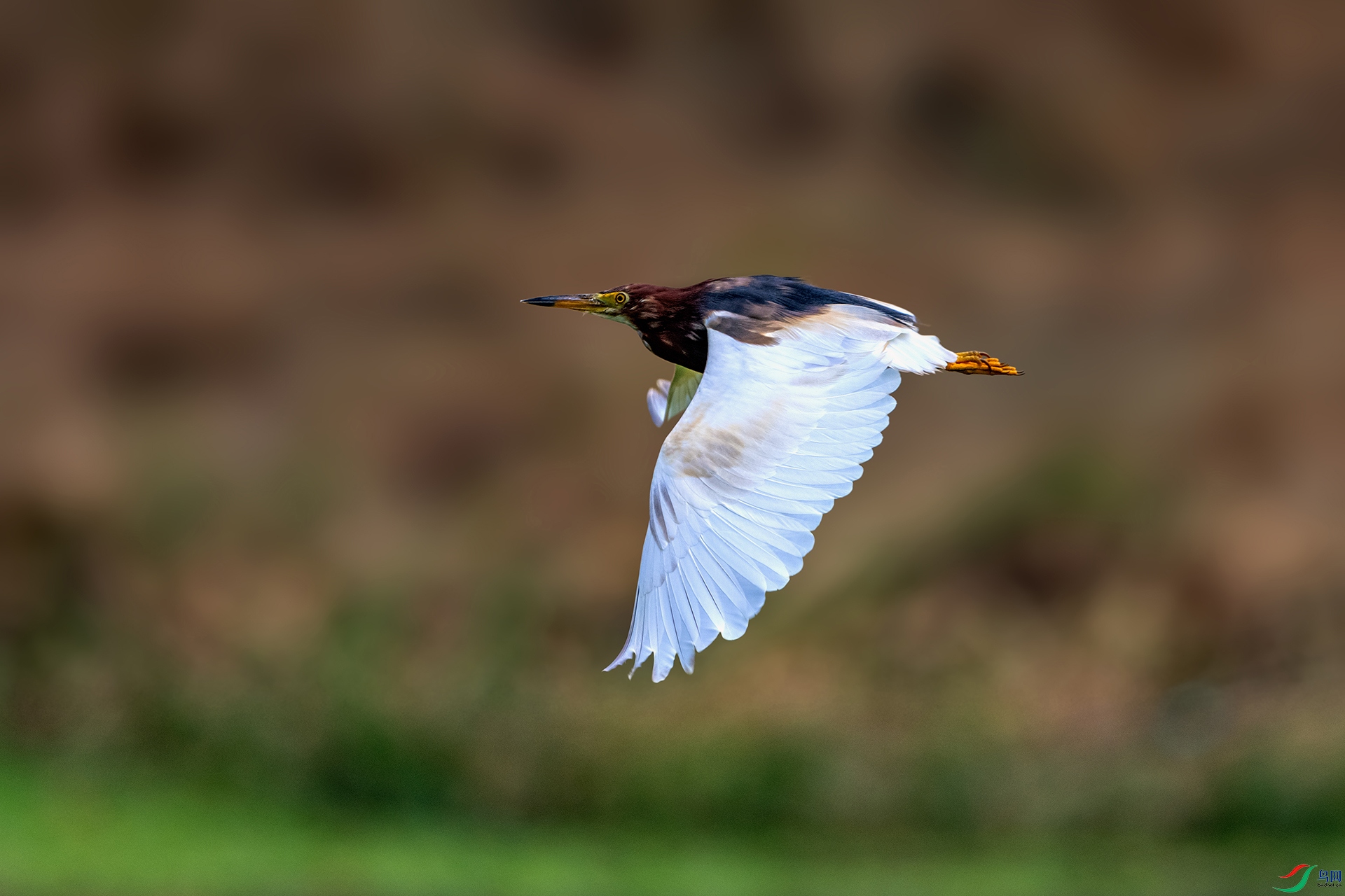 _AUU1201 ����(26.4.10).jpg