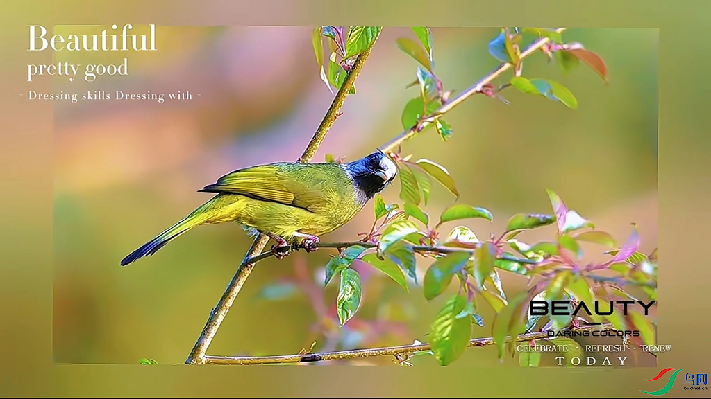 801e4992b3bee73a867879f7885e822f.png