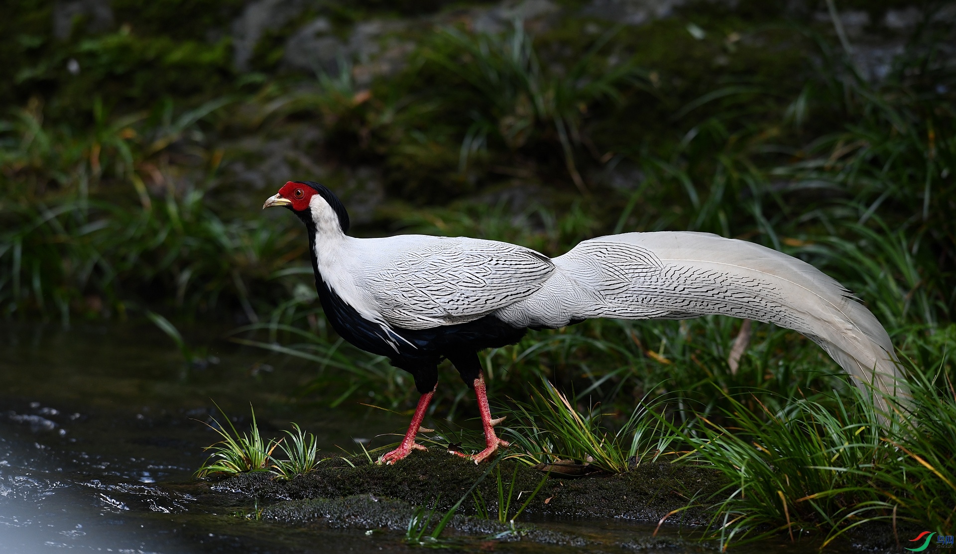DSC_6102.jpg