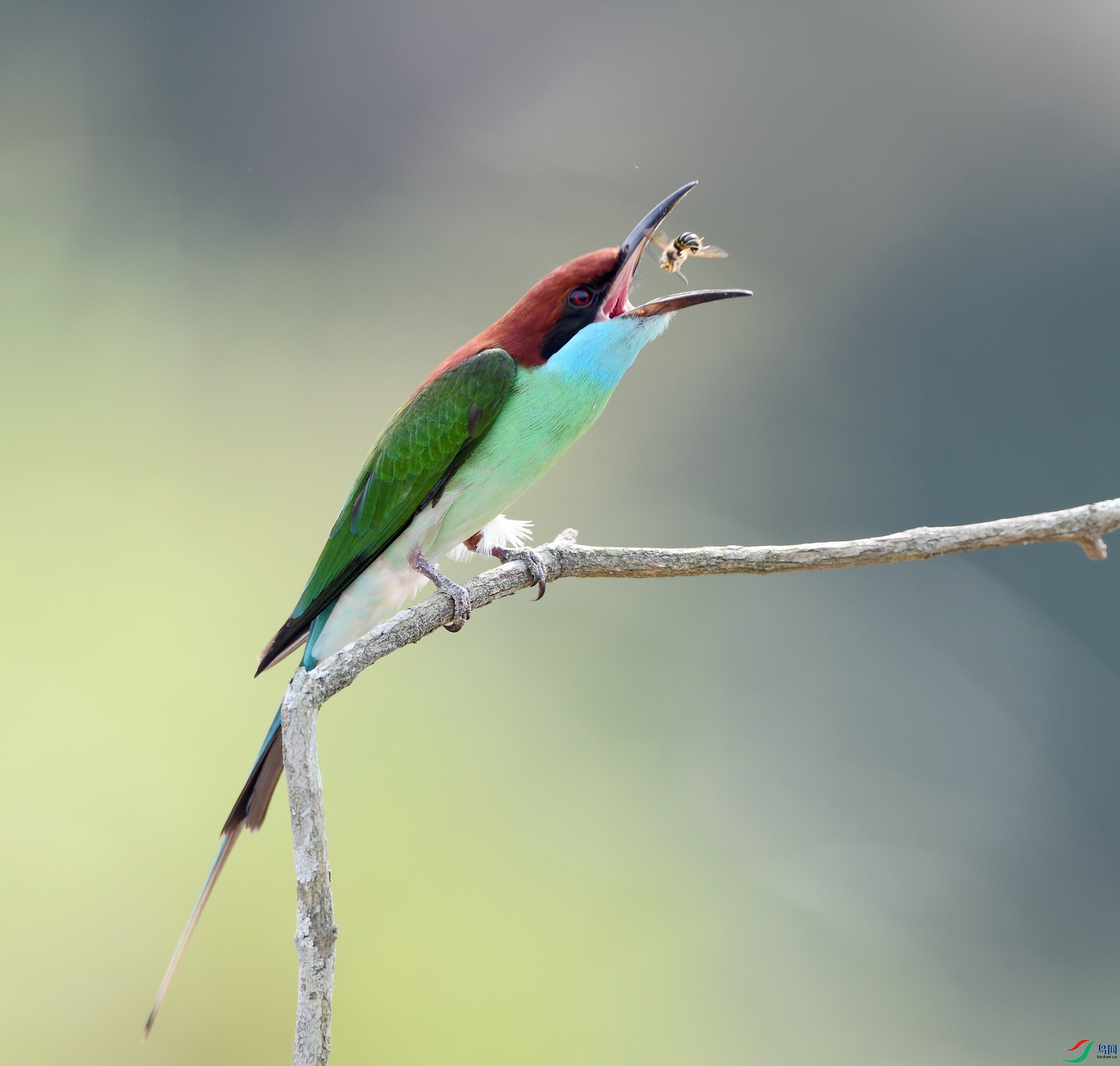 DSC_6997.jpg