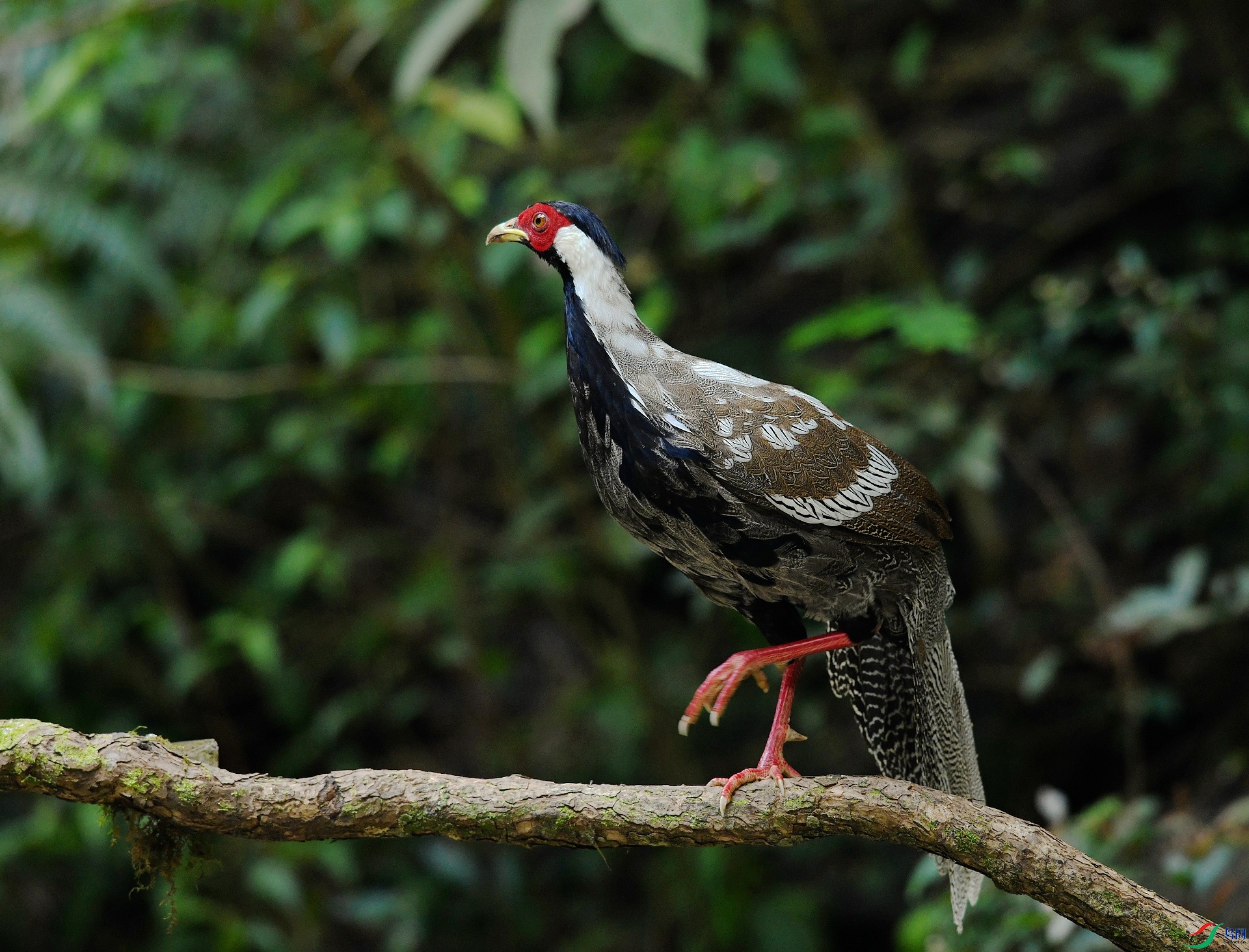DSC_5943.jpg