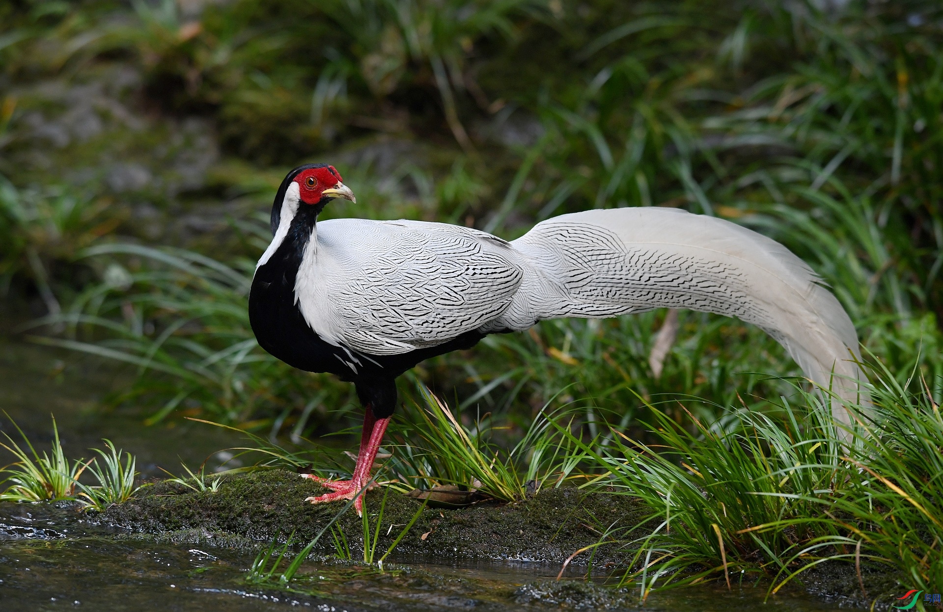 DSC_6103.jpg