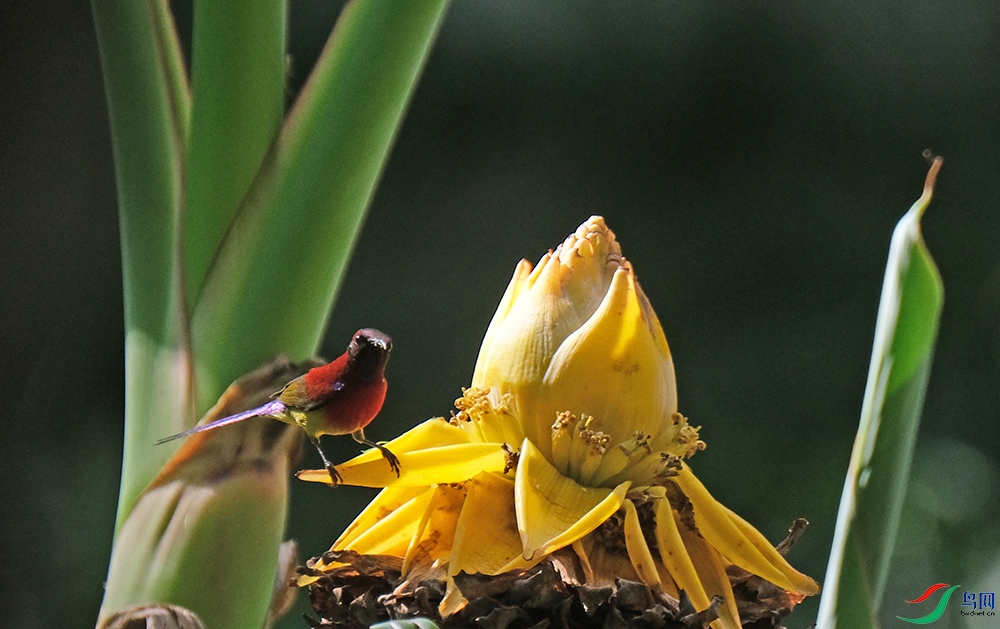 DSCF8191.1.jpg