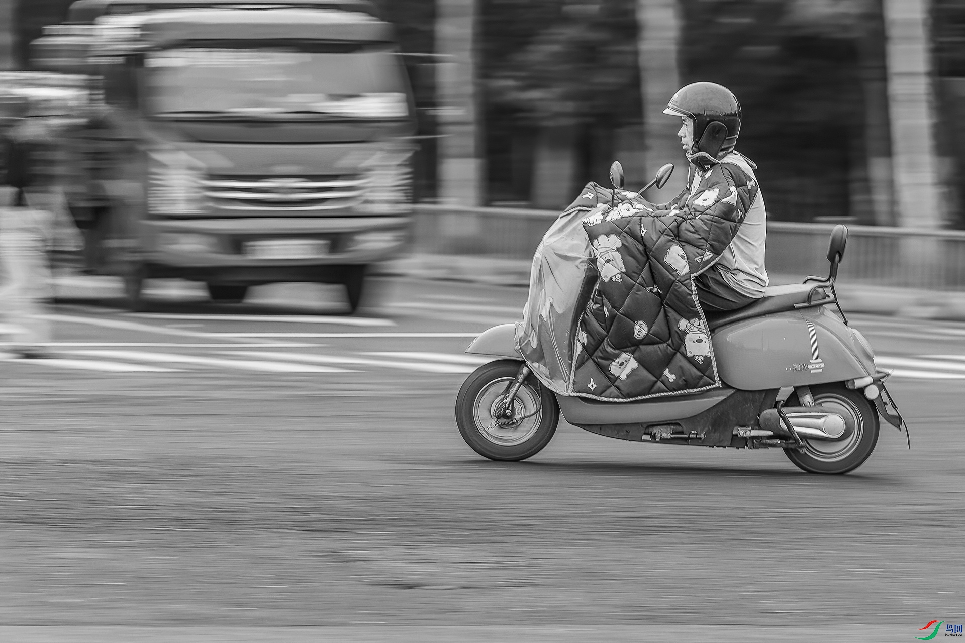 _MG_7941-CR2_(1920)-�ڰ�a.jpg