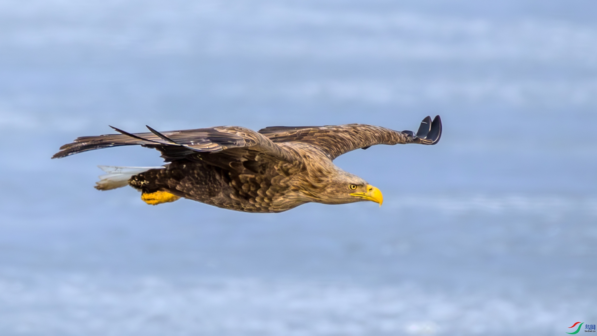 _11A4530-1.jpg