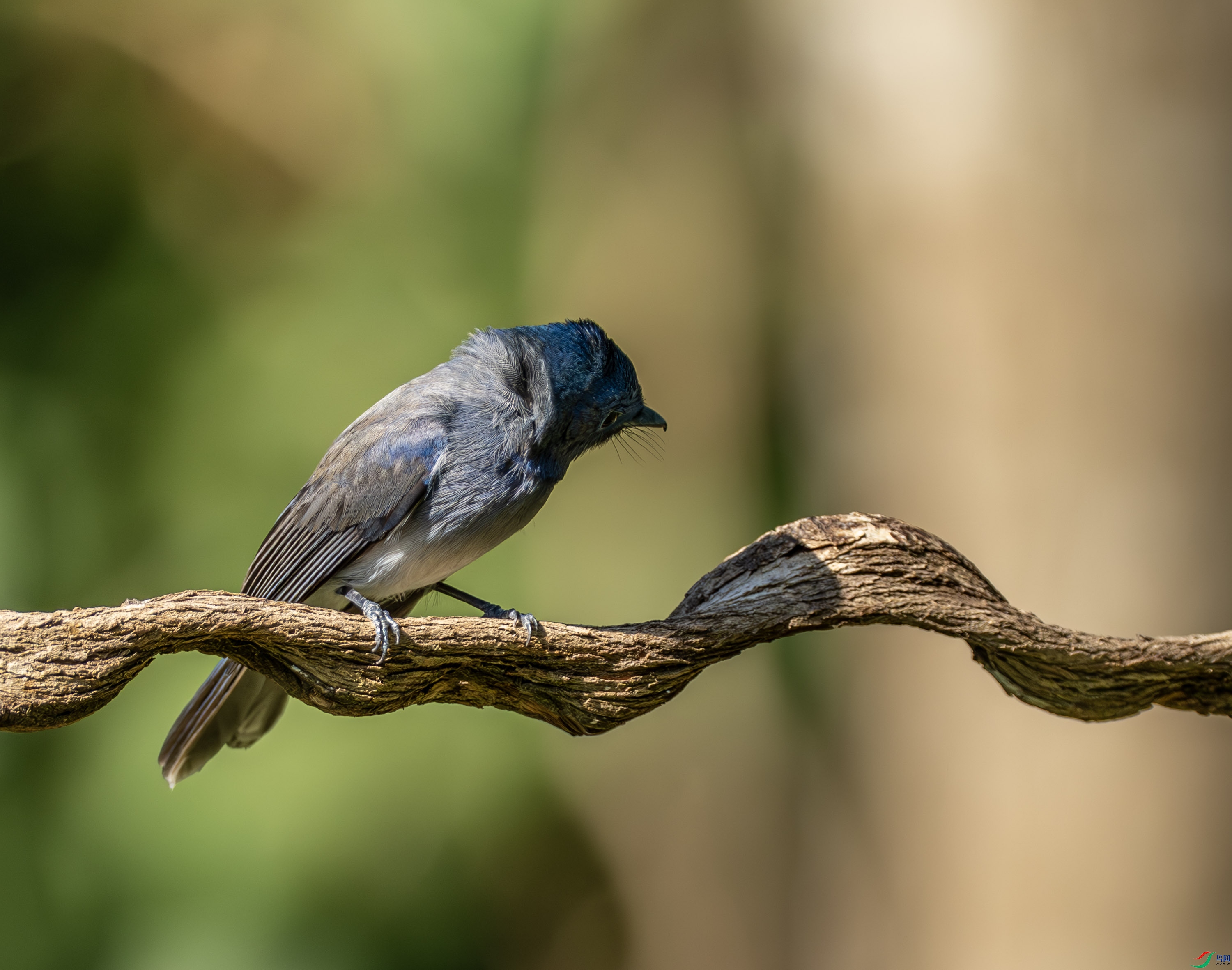 �������l-02-6.jpg