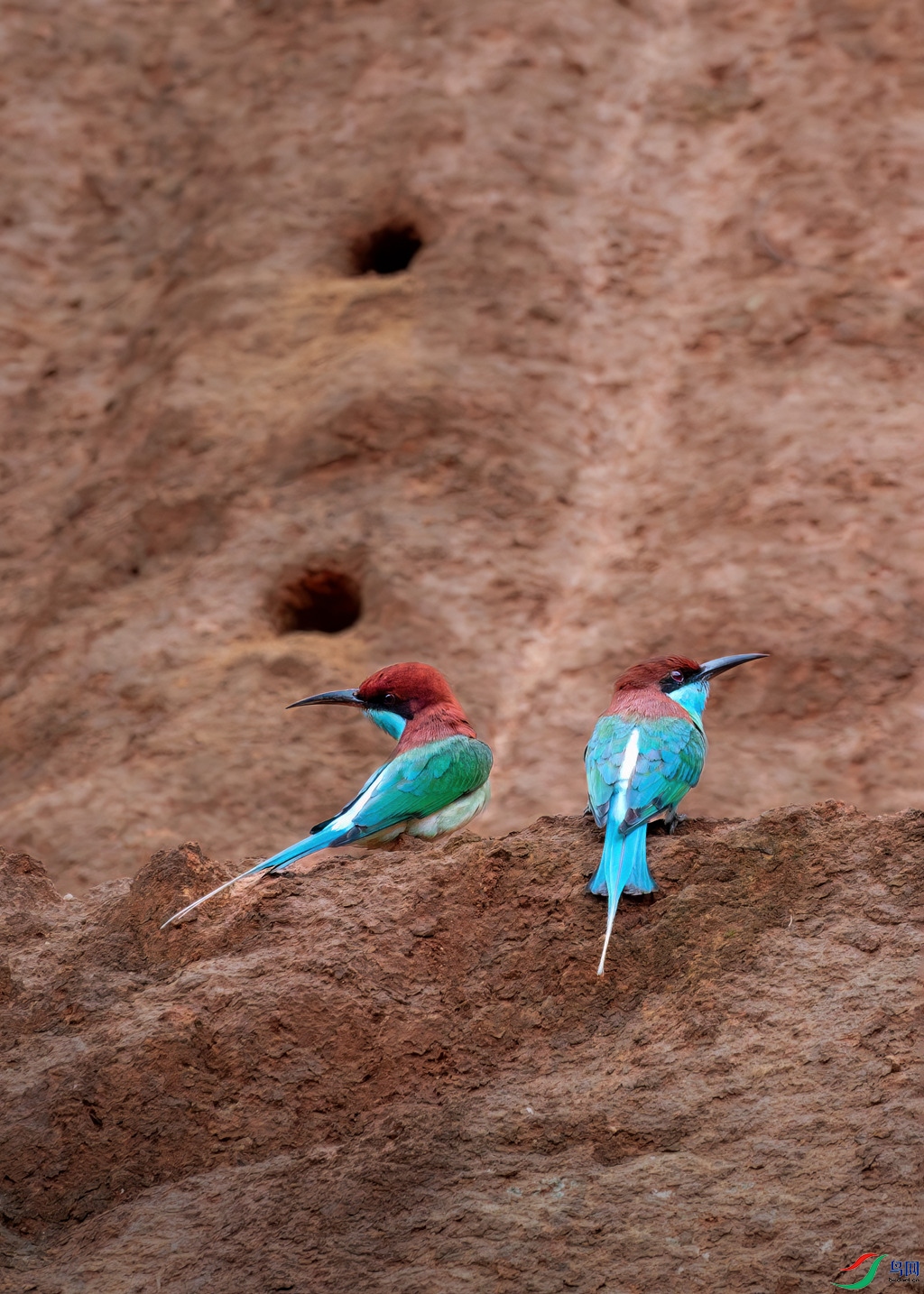 _DSC7488.jpg