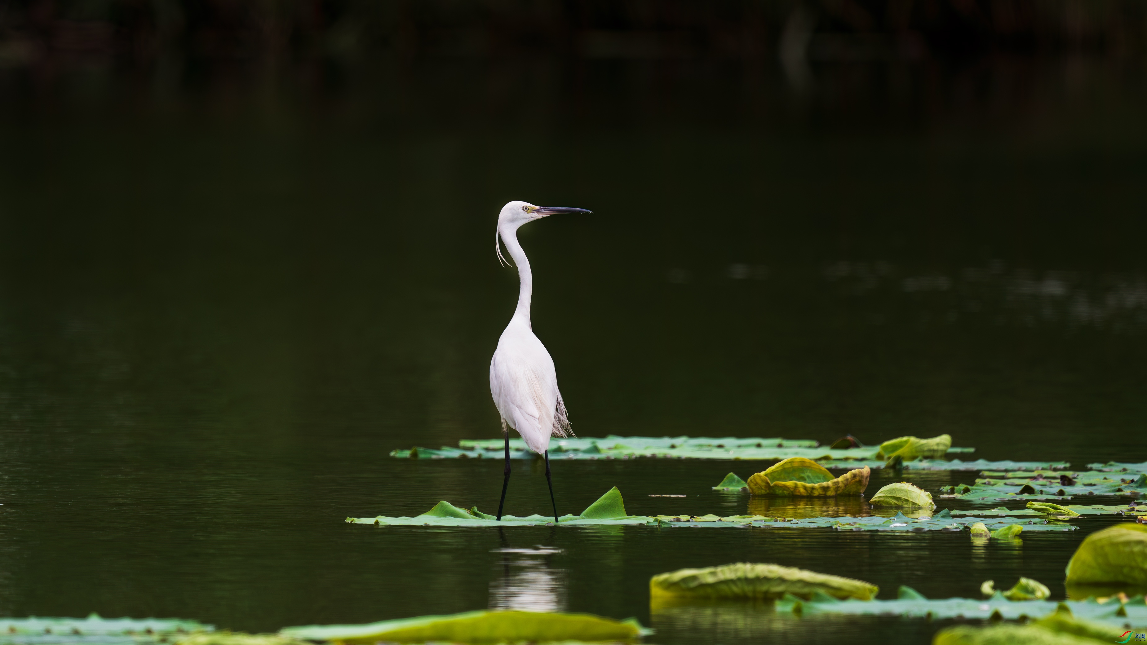 DSC_3049.jpg