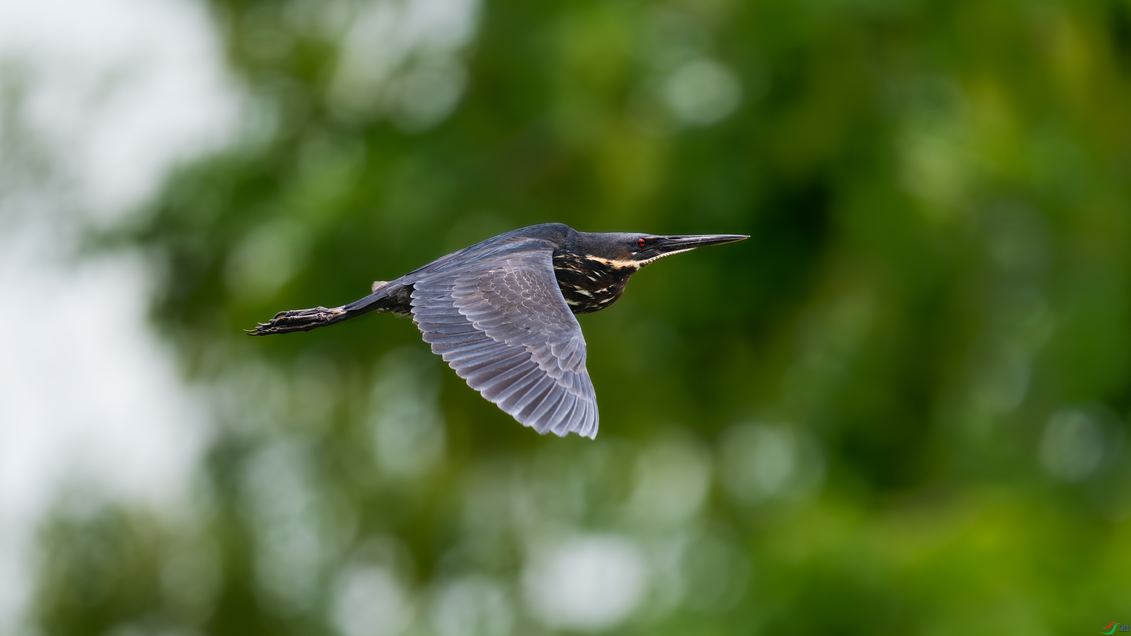 DSC_3779.jpg