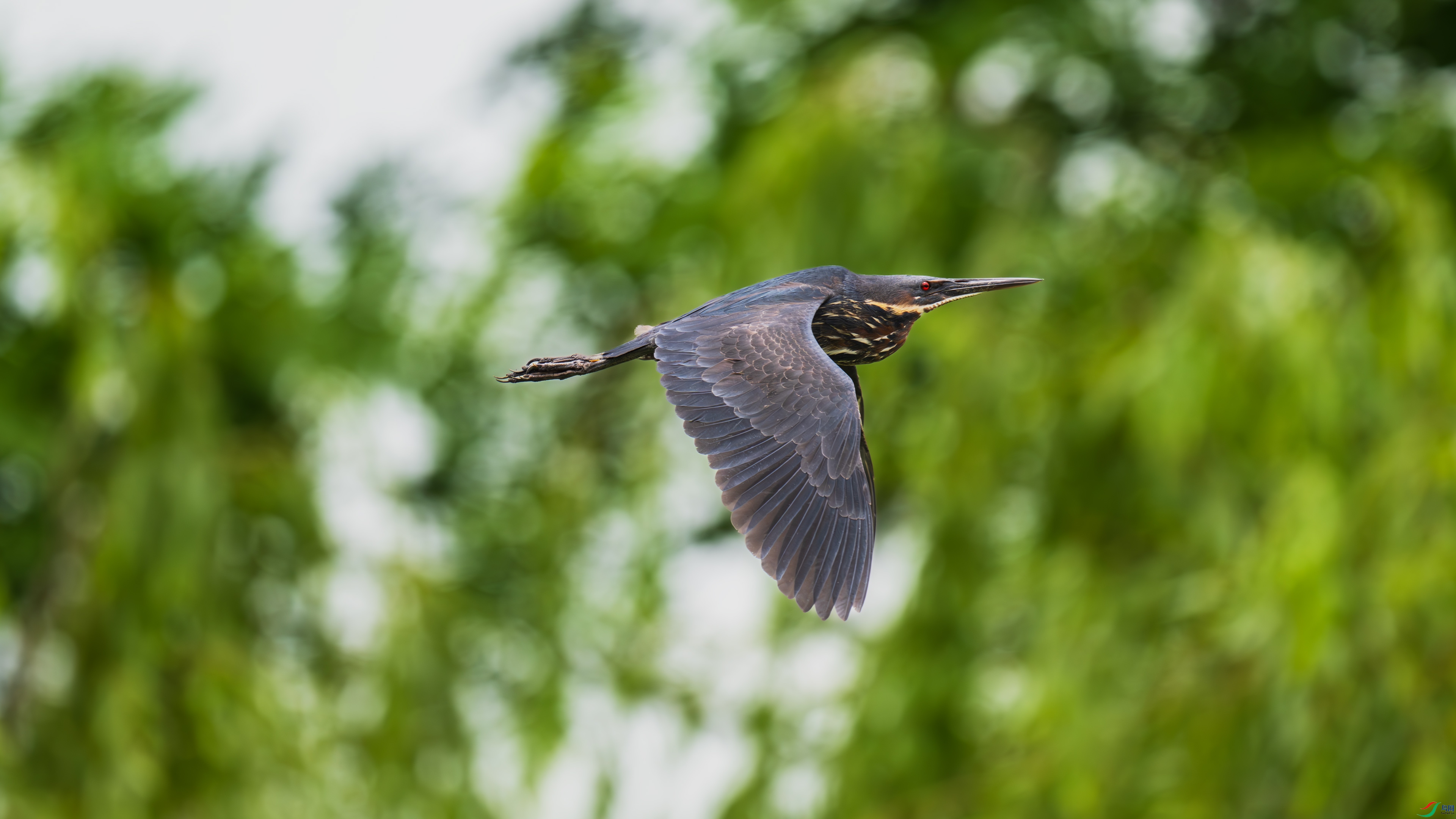 DSC_3800.jpg