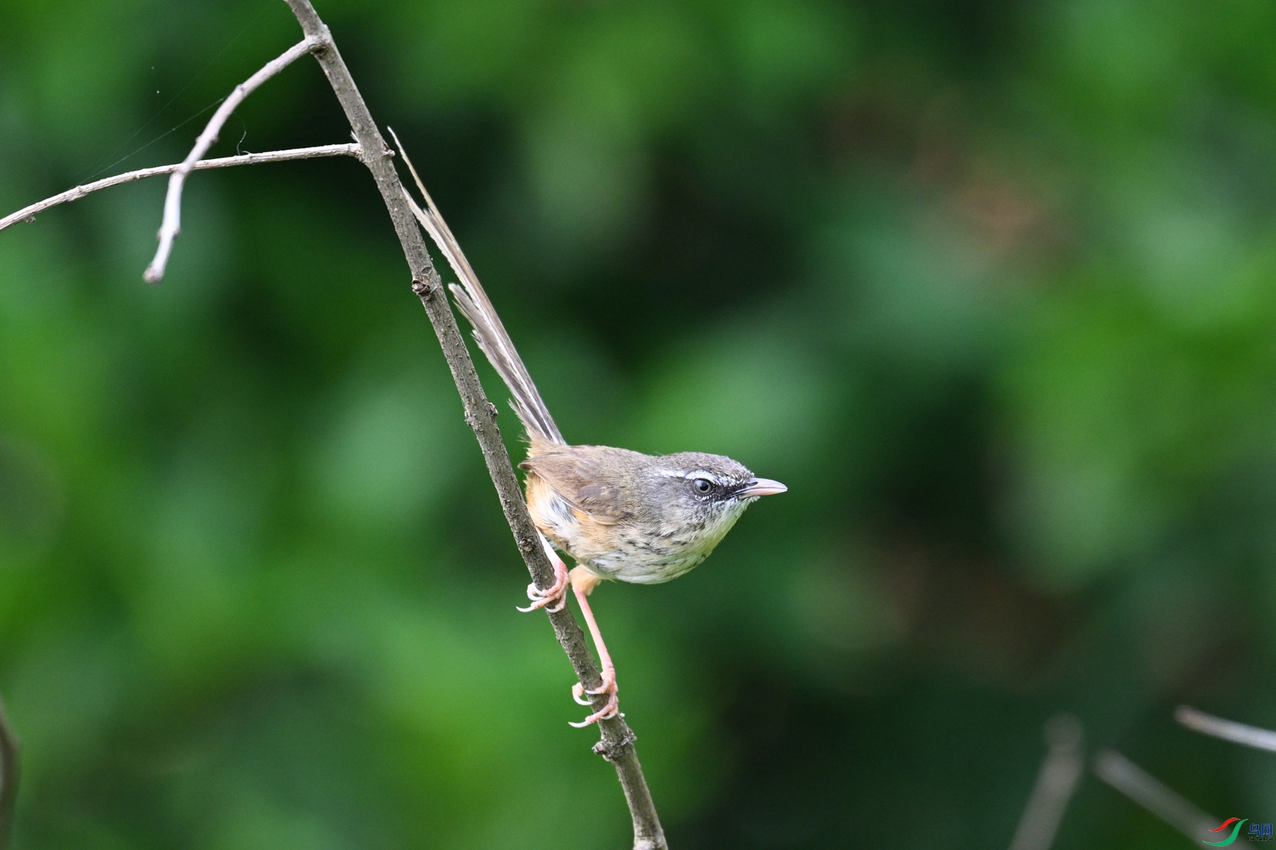 DSC_0074.JPG