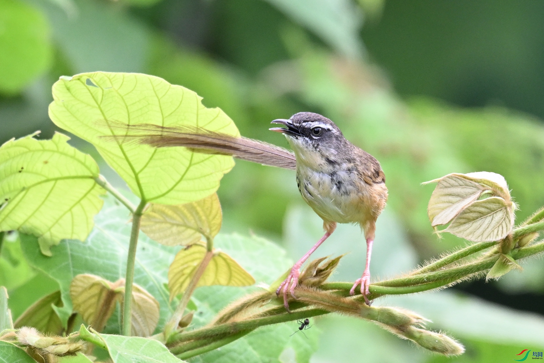 DSC_0068.JPG