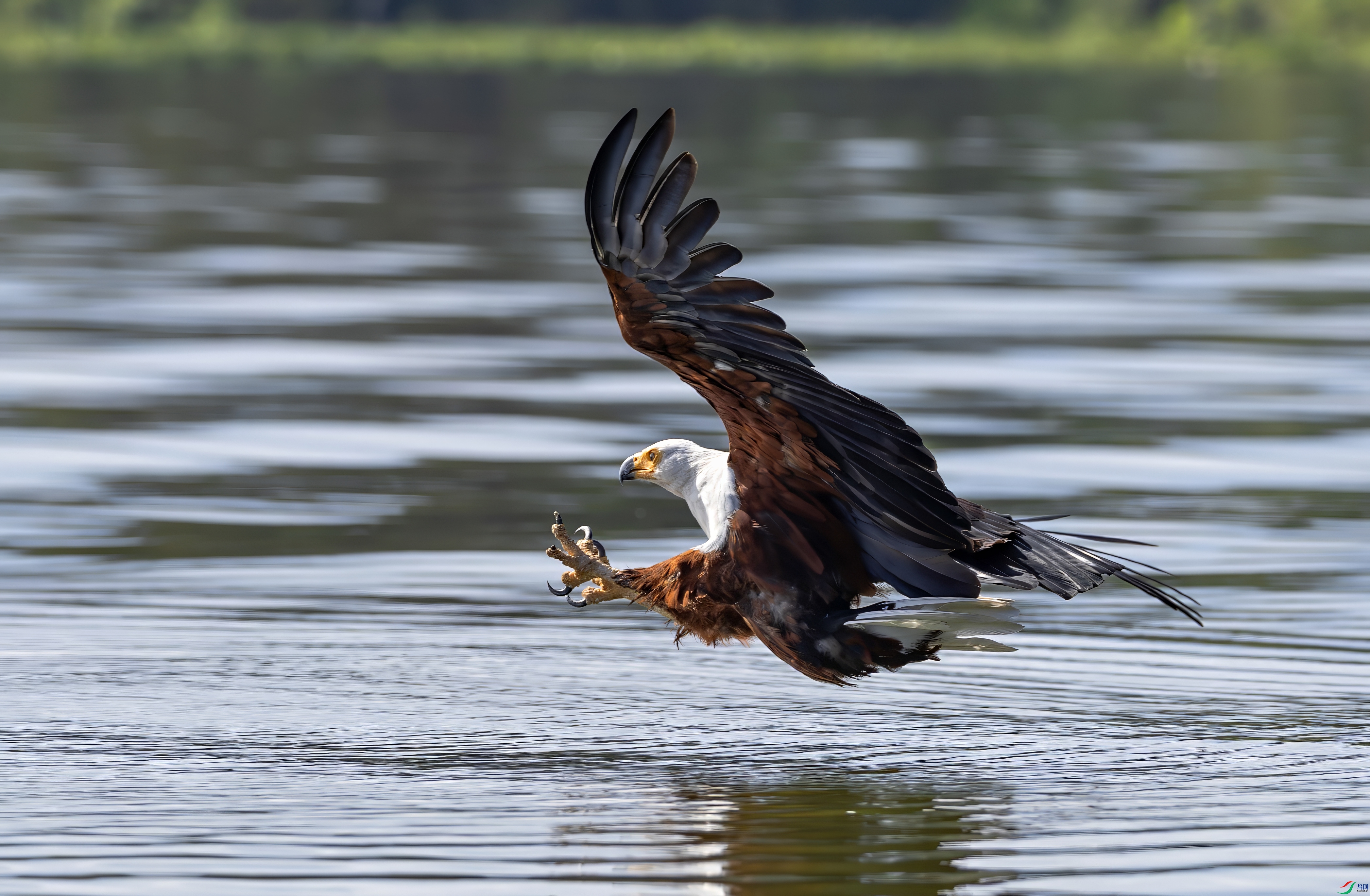 _08A8353-topaz-denoise.jpeg