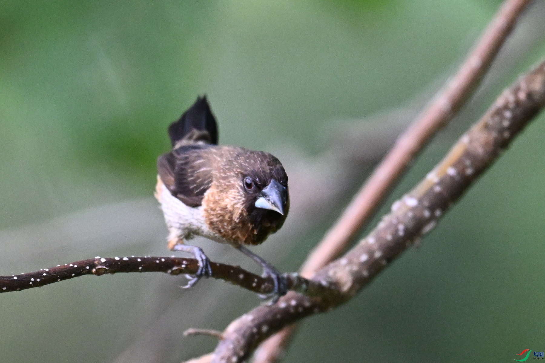 DSC_0088.JPG