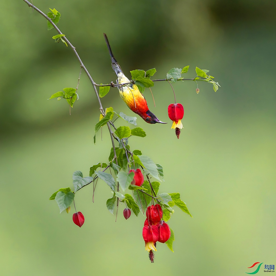 6H7A7019-topaz-denoise ����.jpg