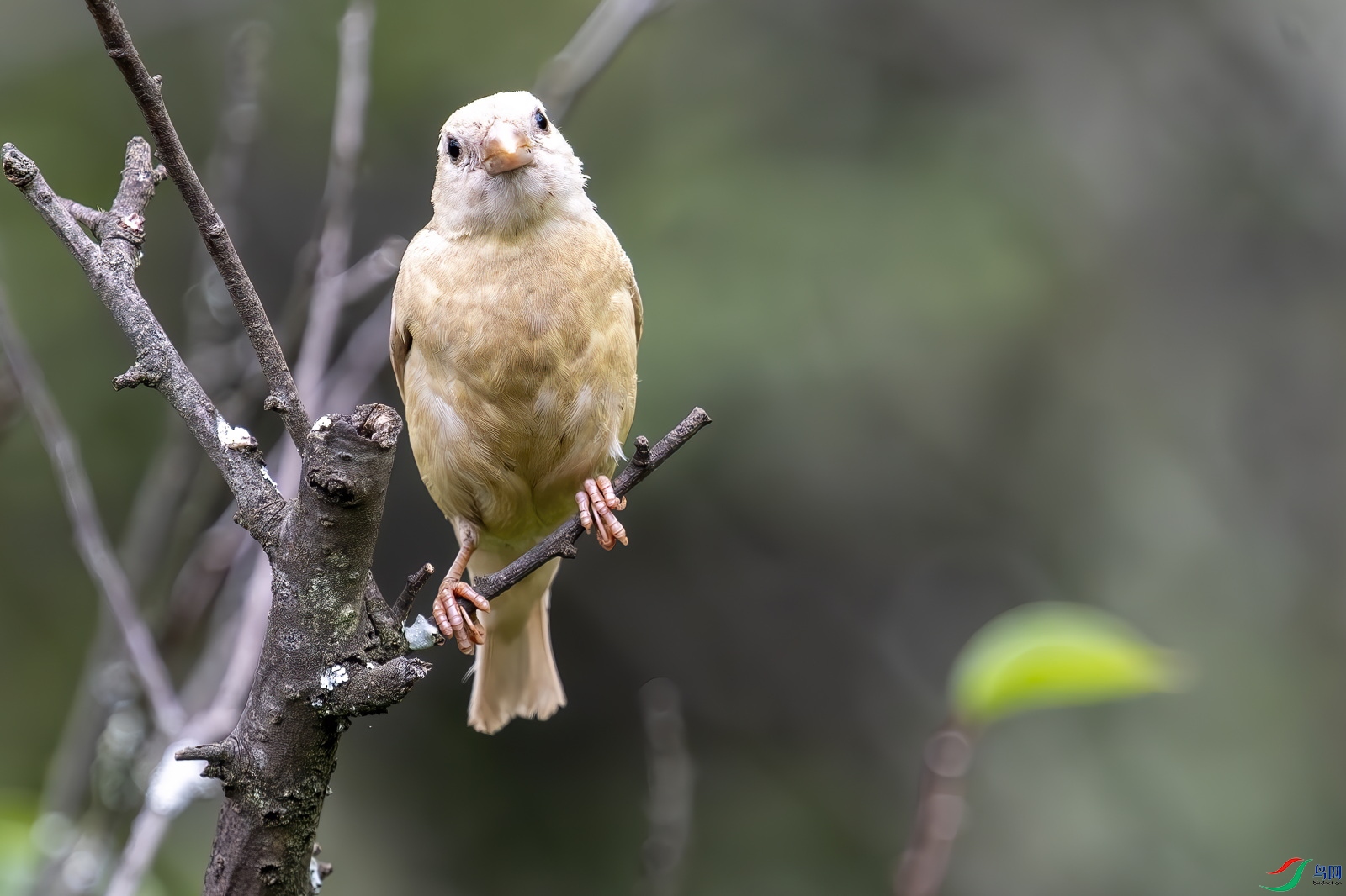 DSC_5521.jpg